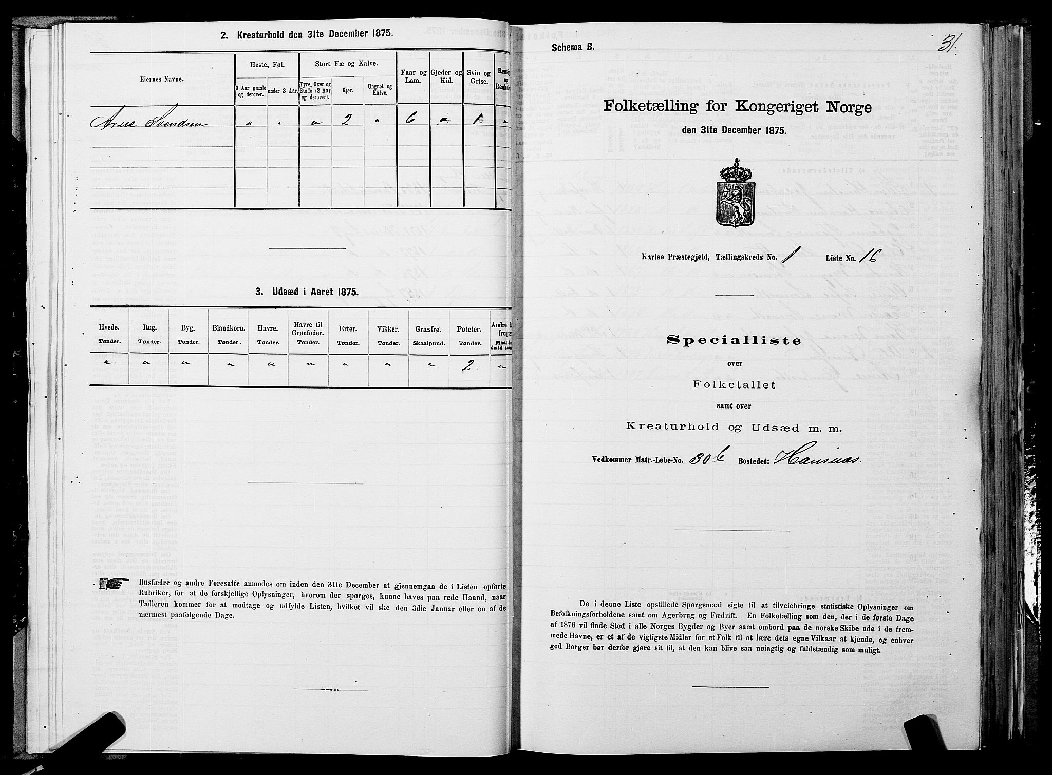 SATØ, 1875 census for 1936P Karlsøy, 1875, p. 1031