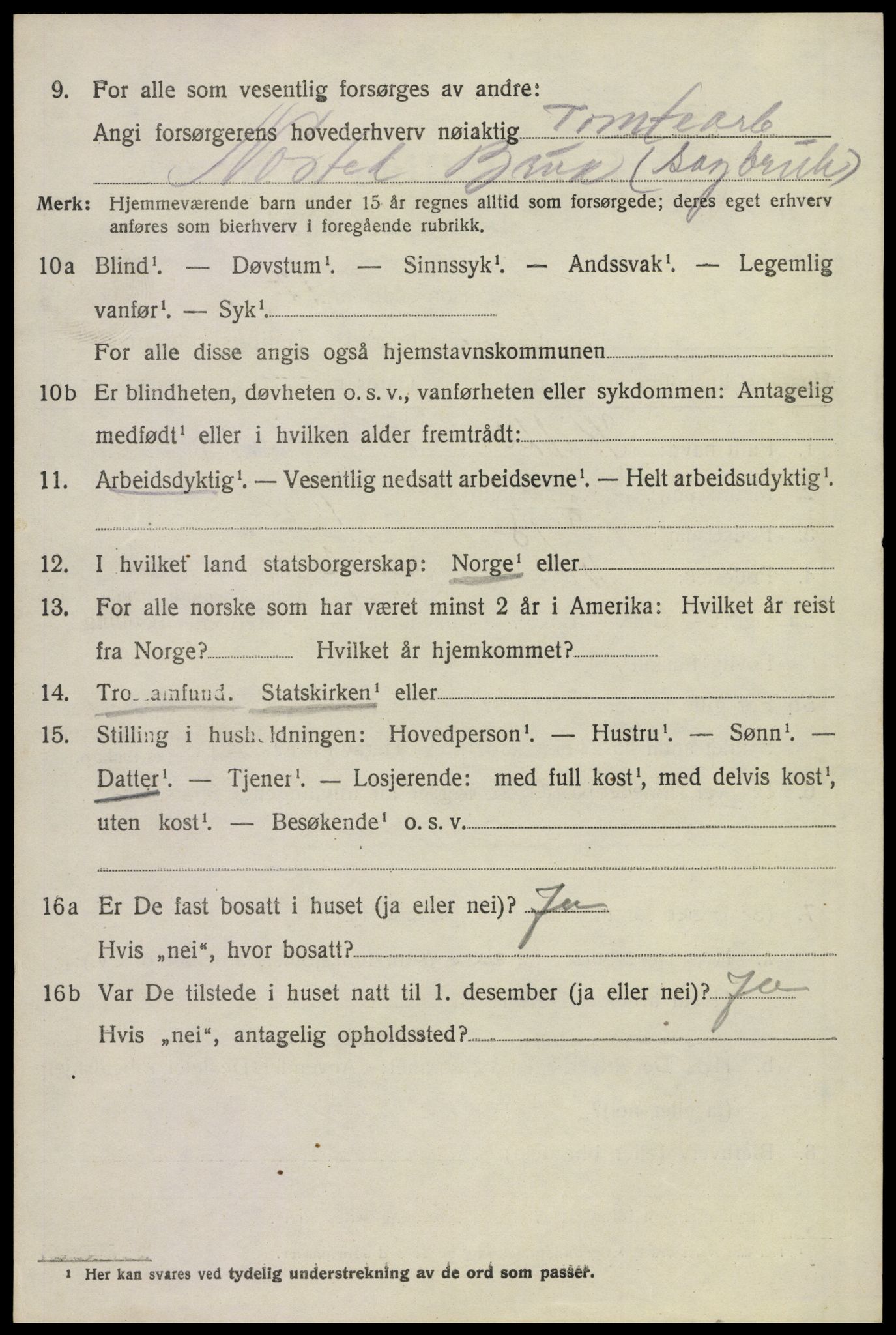 SAKO, 1920 census for Skoger, 1920, p. 13528