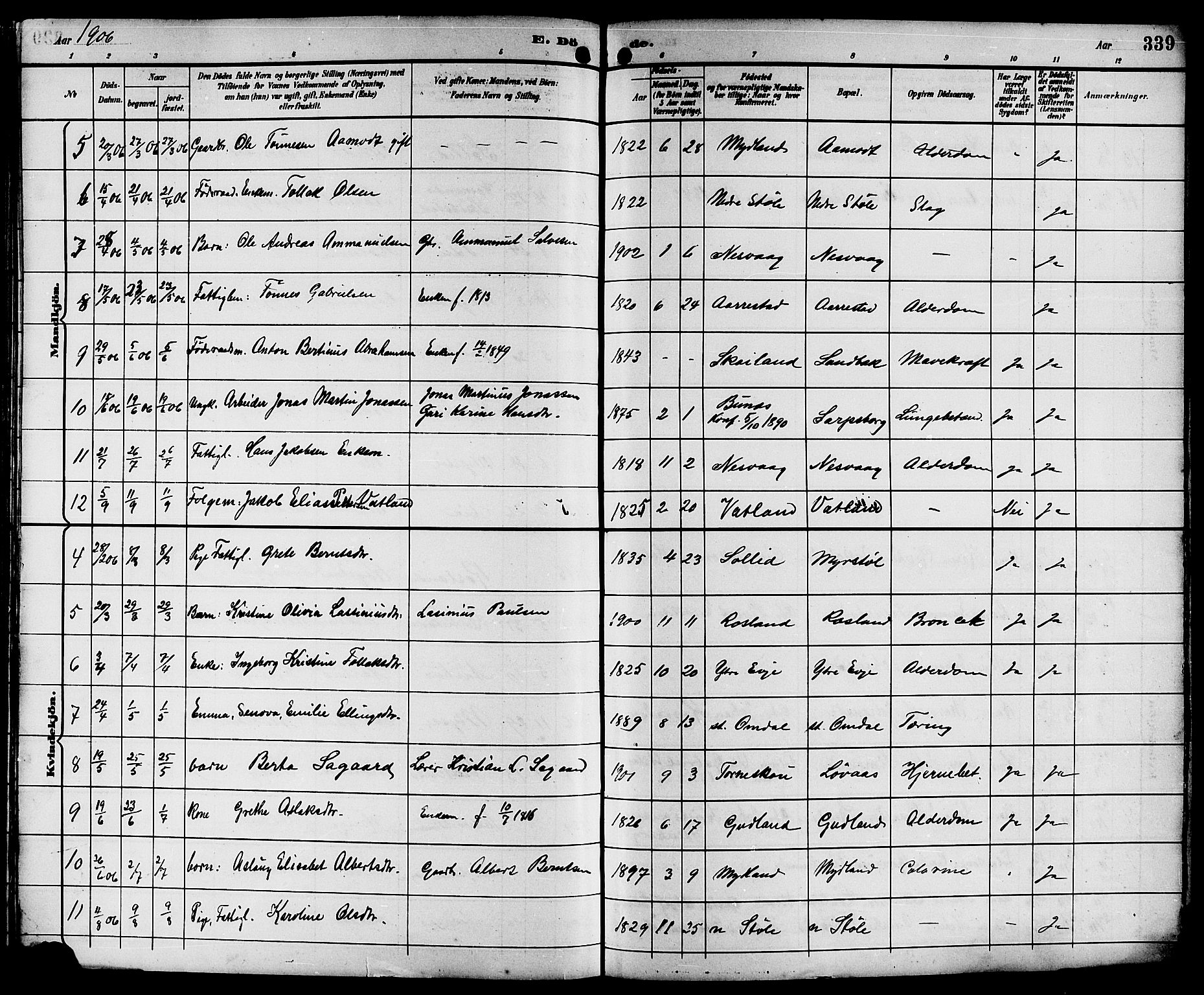 Sokndal sokneprestkontor, AV/SAST-A-101808: Parish register (copy) no. B 6, 1892-1907, p. 339