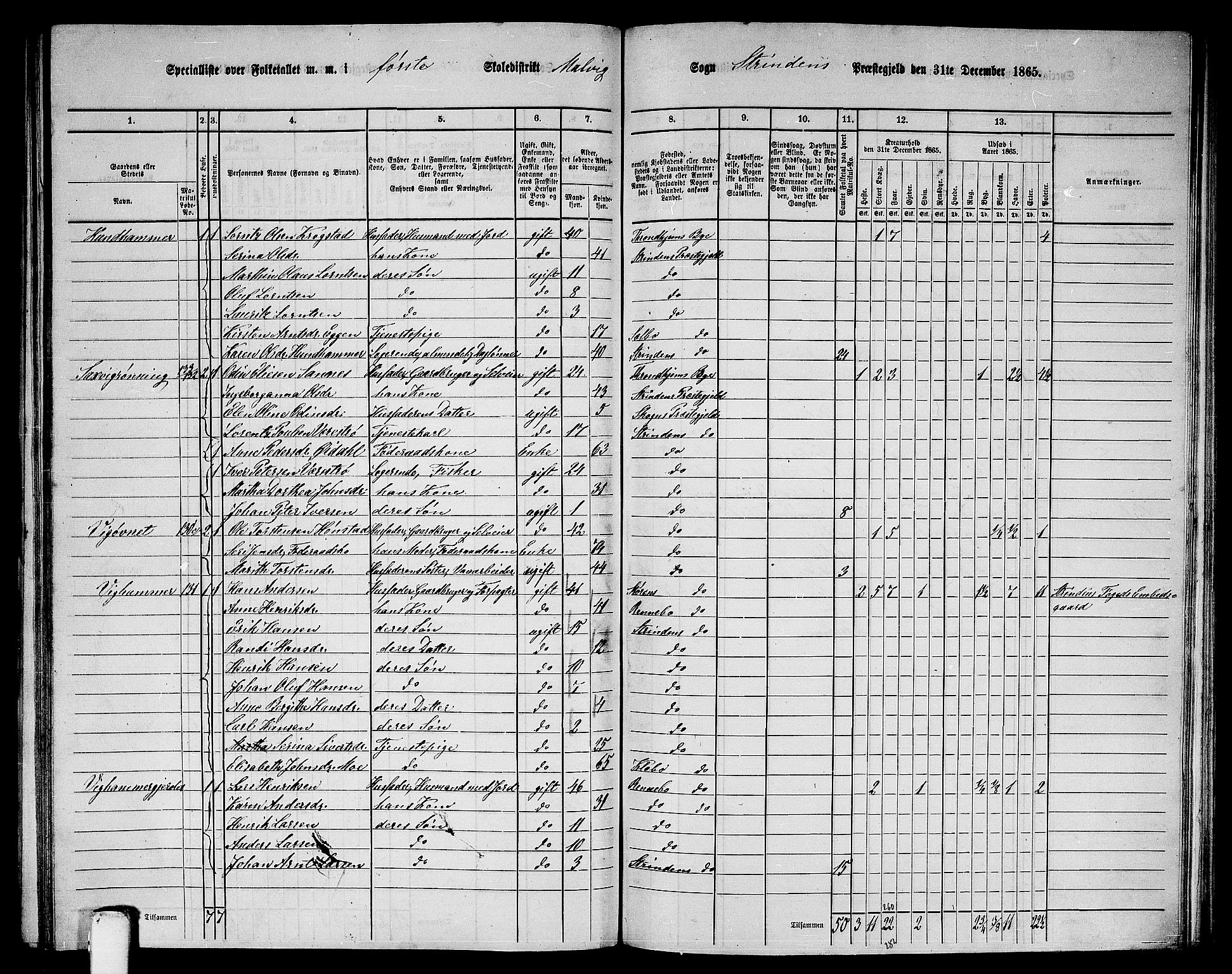 RA, 1865 census for Strinda, 1865, p. 195