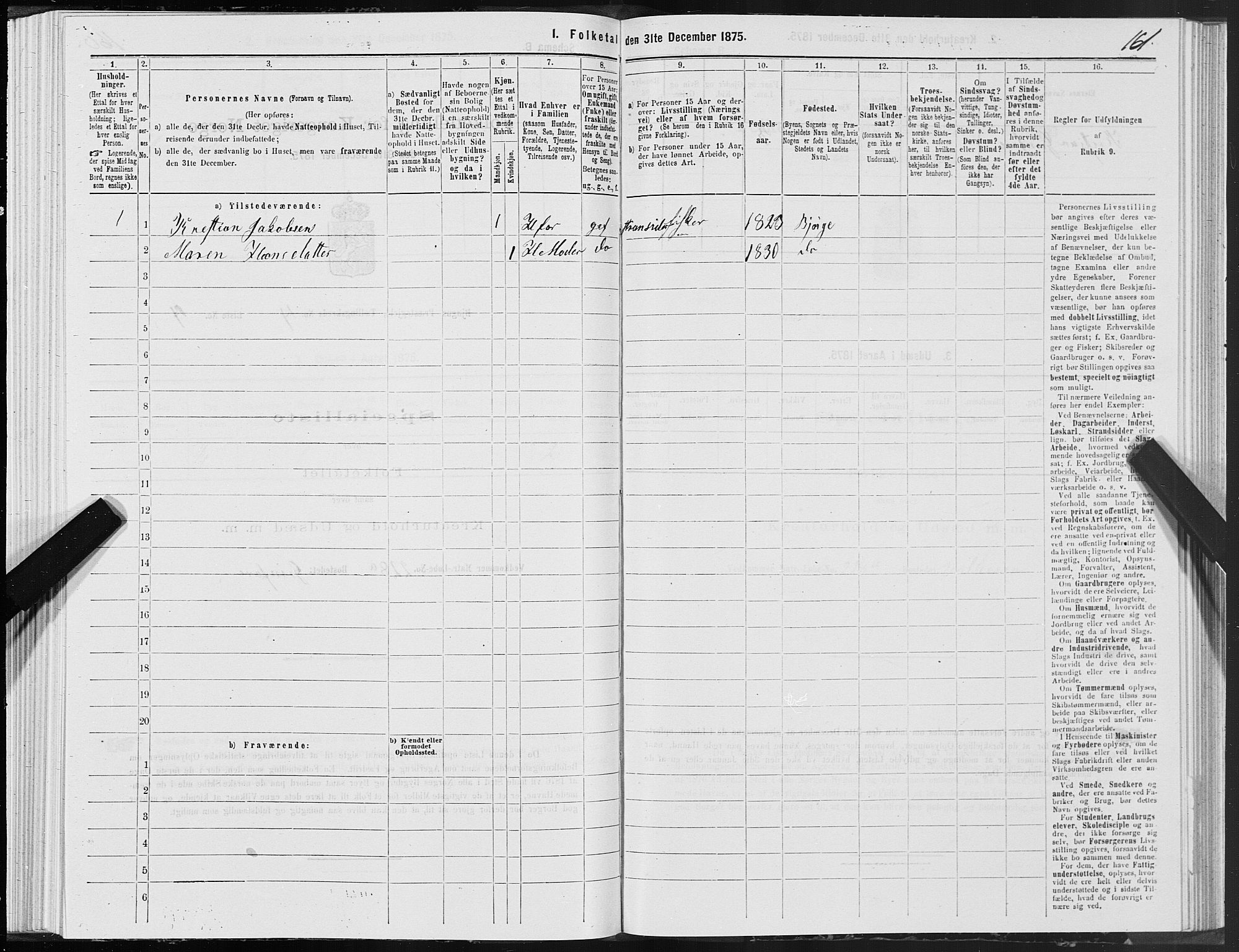 SAT, 1875 census for 1627P Bjugn, 1875, p. 2161