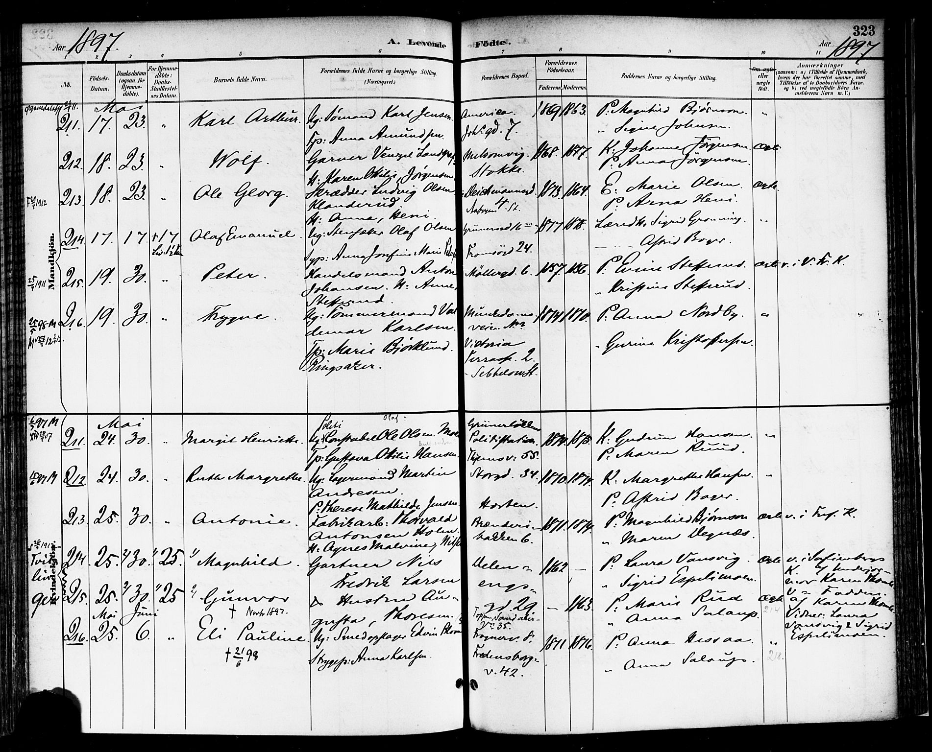 Rikshospitalet prestekontor Kirkebøker, AV/SAO-A-10309b/F/L0009: Parish register (official) no. 9, 1894-1897, p. 323