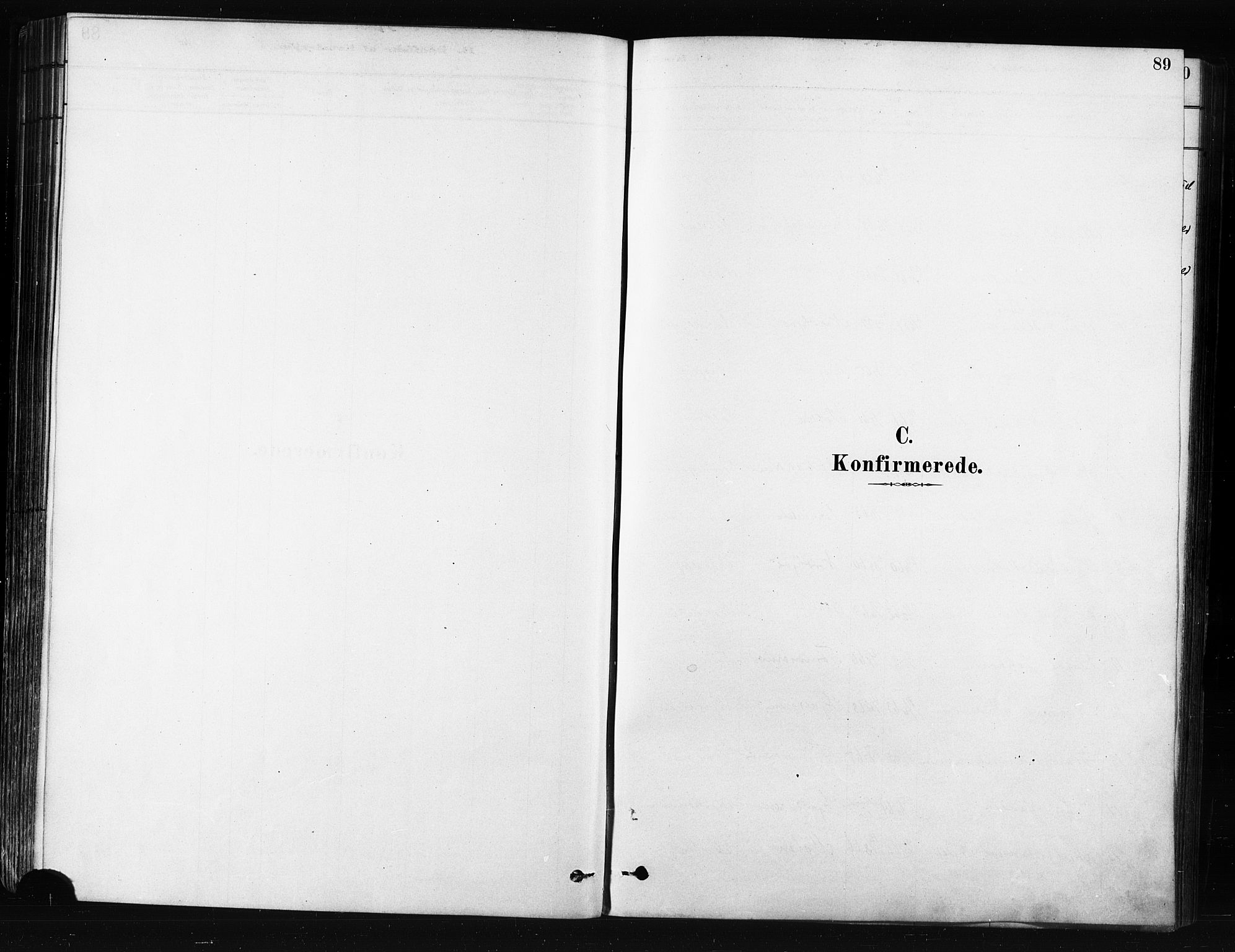 Skjervøy sokneprestkontor, AV/SATØ-S-1300/H/Ha/Haa/L0014kirke: Parish register (official) no. 14, 1878-1894, p. 89