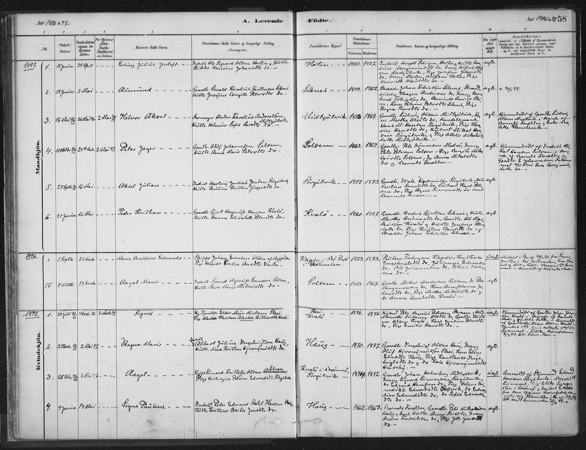 Ministerialprotokoller, klokkerbøker og fødselsregistre - Nord-Trøndelag, SAT/A-1458/788/L0697: Parish register (official) no. 788A04, 1878-1902, p. 58