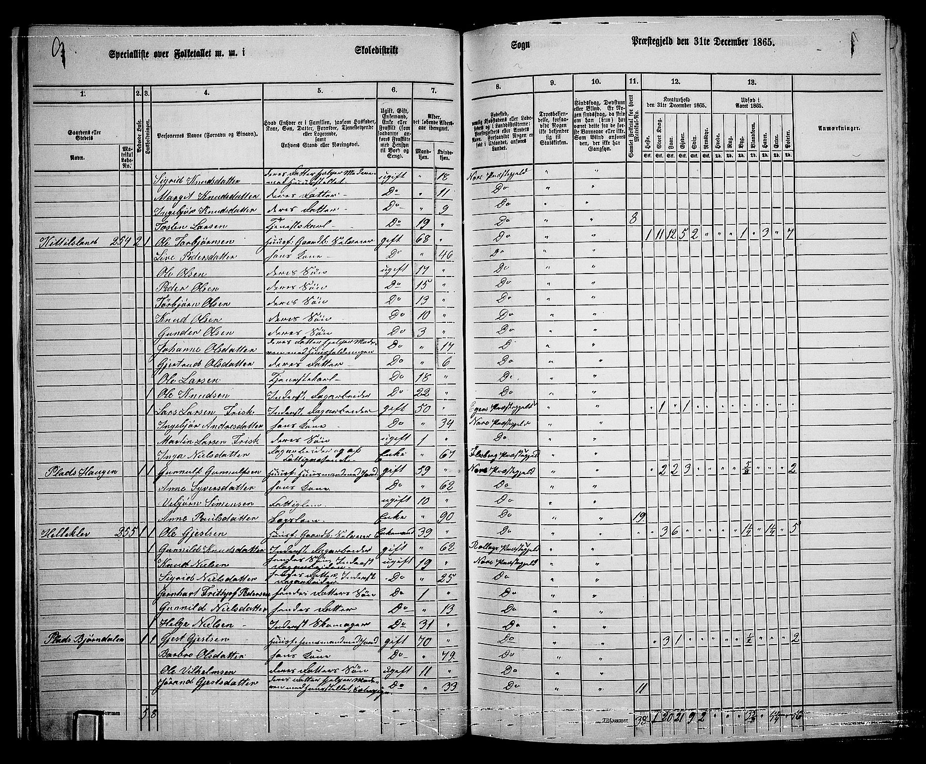 RA, 1865 census for Nore, 1865, p. 21