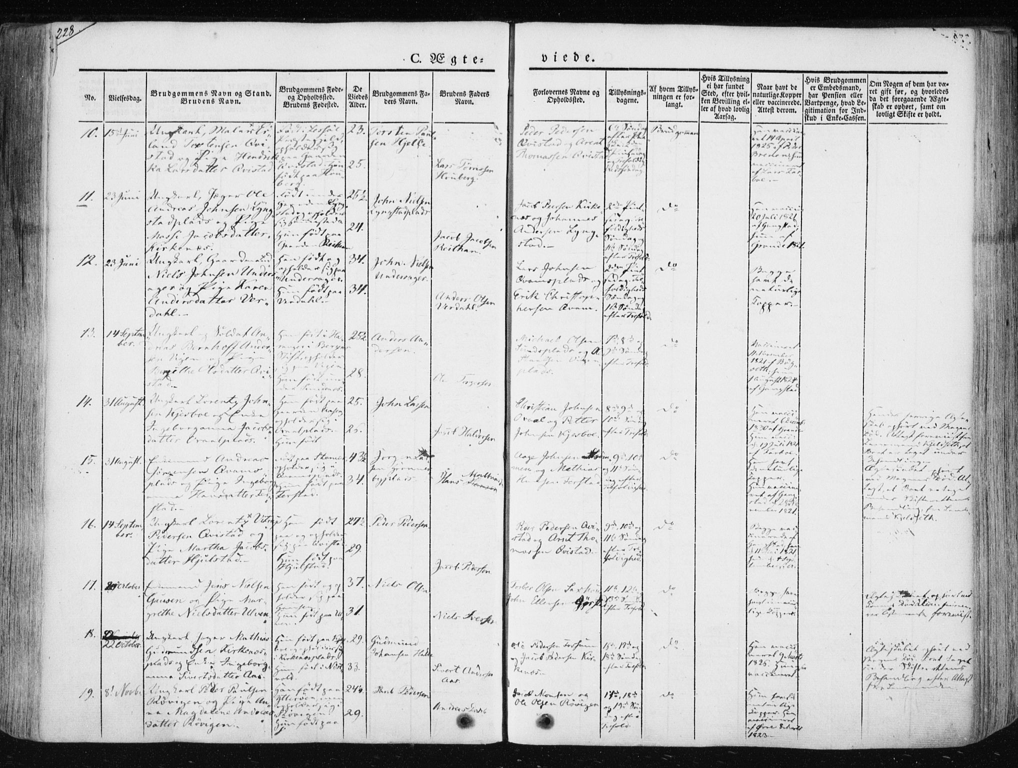 Ministerialprotokoller, klokkerbøker og fødselsregistre - Nord-Trøndelag, SAT/A-1458/730/L0280: Parish register (official) no. 730A07 /1, 1840-1854, p. 228