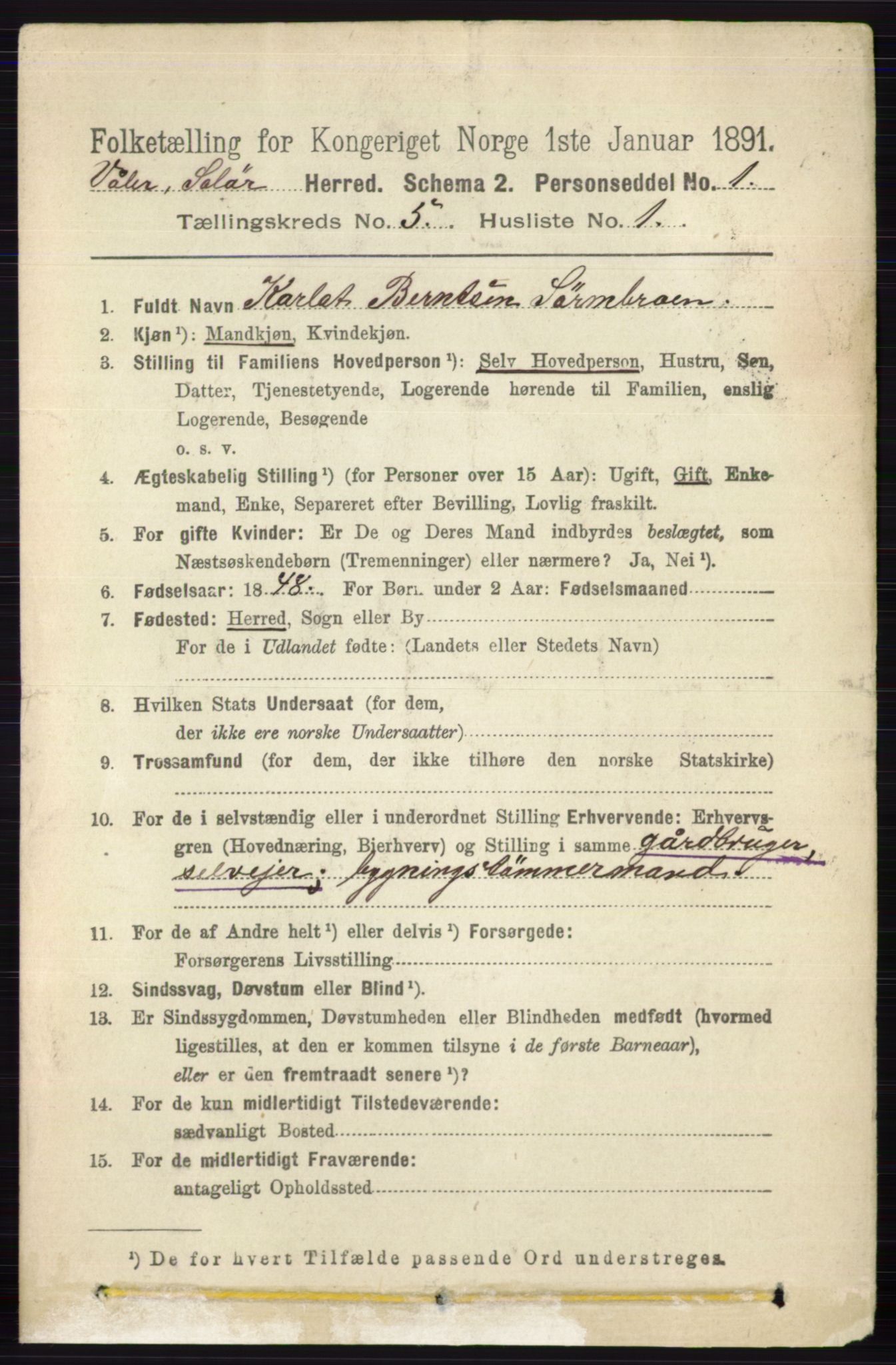 RA, 1891 census for 0426 Våler, 1891, p. 1897