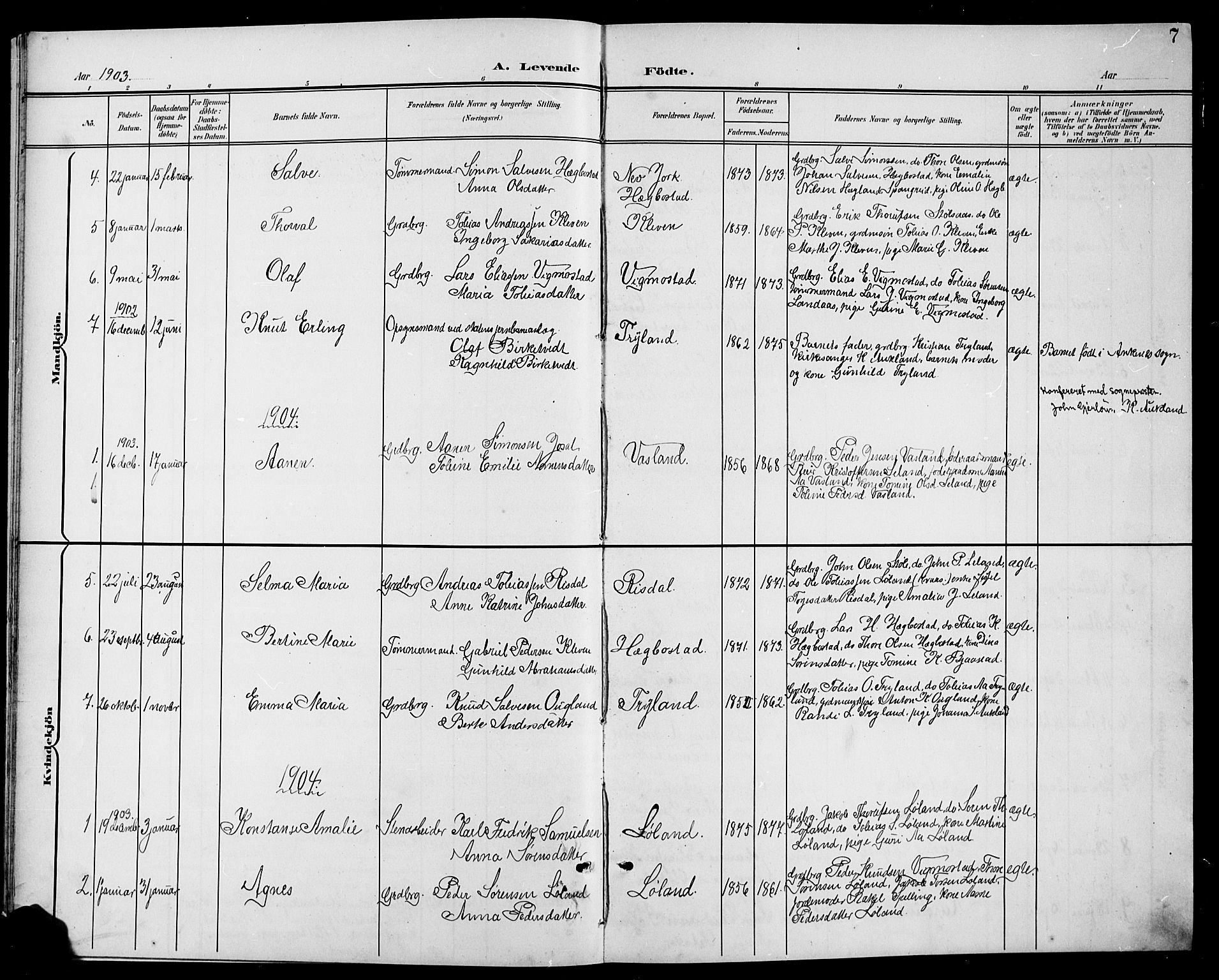 Nord-Audnedal sokneprestkontor, AV/SAK-1111-0032/F/Fb/Fbb/L0004: Parish register (copy) no. B 4, 1901-1917, p. 7