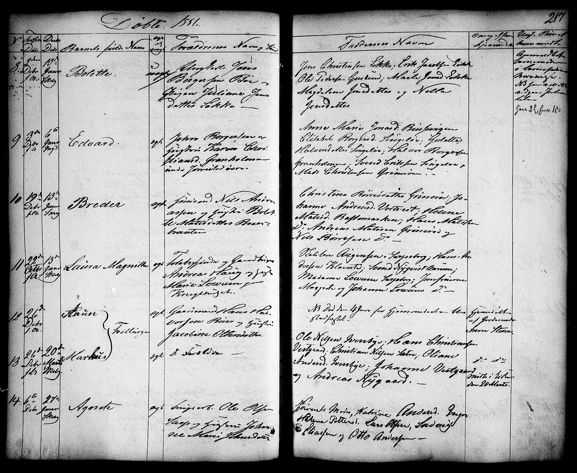 Skjeberg prestekontor Kirkebøker, AV/SAO-A-10923/F/Fa/L0006: Parish register (official) no. I 6, 1846-1858, p. 217