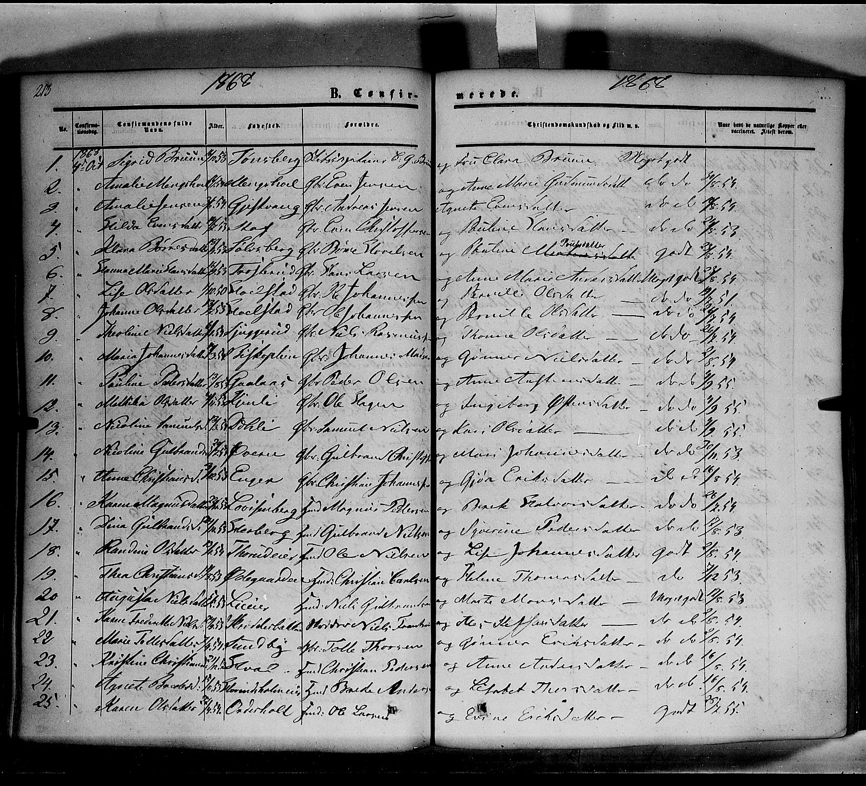 Nes prestekontor, Hedmark, AV/SAH-PREST-020/K/Ka/L0004: Parish register (official) no. 4, 1852-1886, p. 213