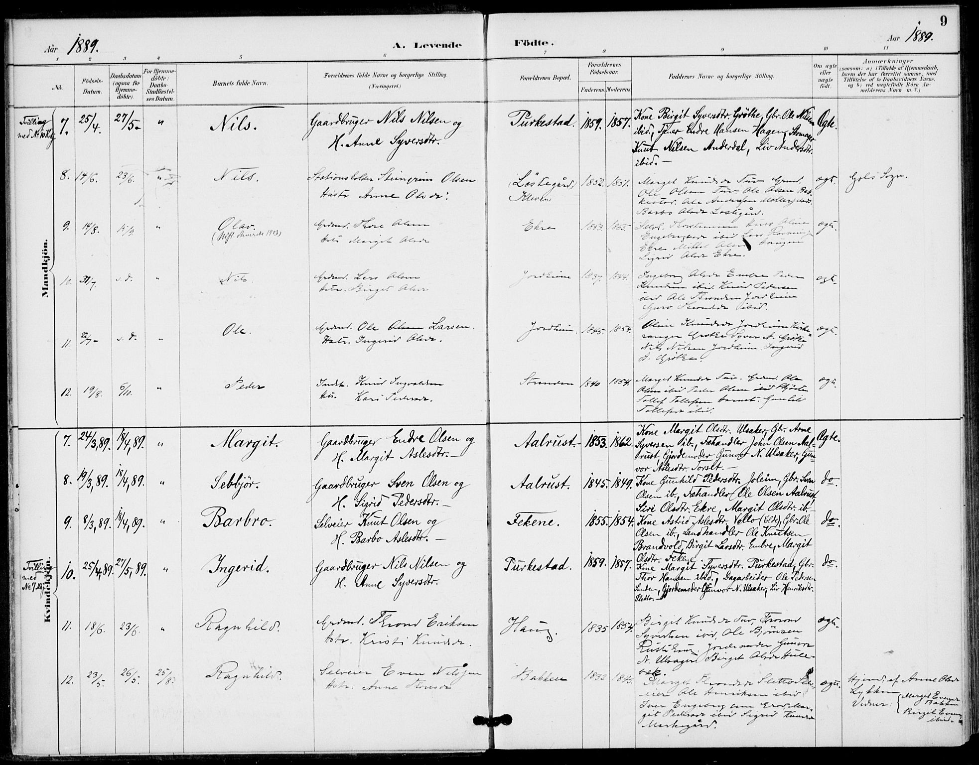 Gol kirkebøker, AV/SAKO-A-226/F/Fb/L0001: Parish register (official) no. II 1, 1887-1900, p. 9