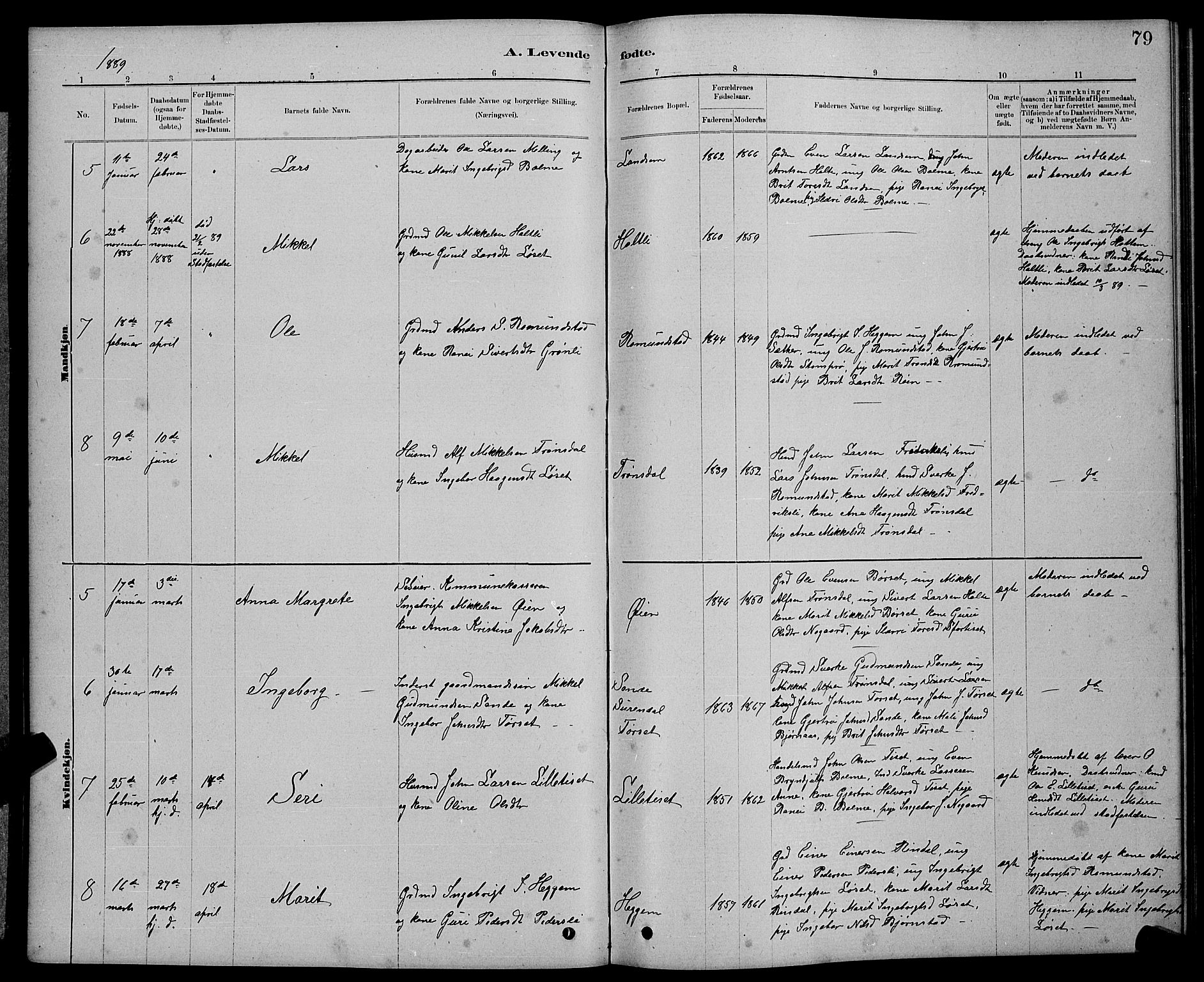 Ministerialprotokoller, klokkerbøker og fødselsregistre - Møre og Romsdal, AV/SAT-A-1454/598/L1077: Parish register (copy) no. 598C02, 1879-1891, p. 79