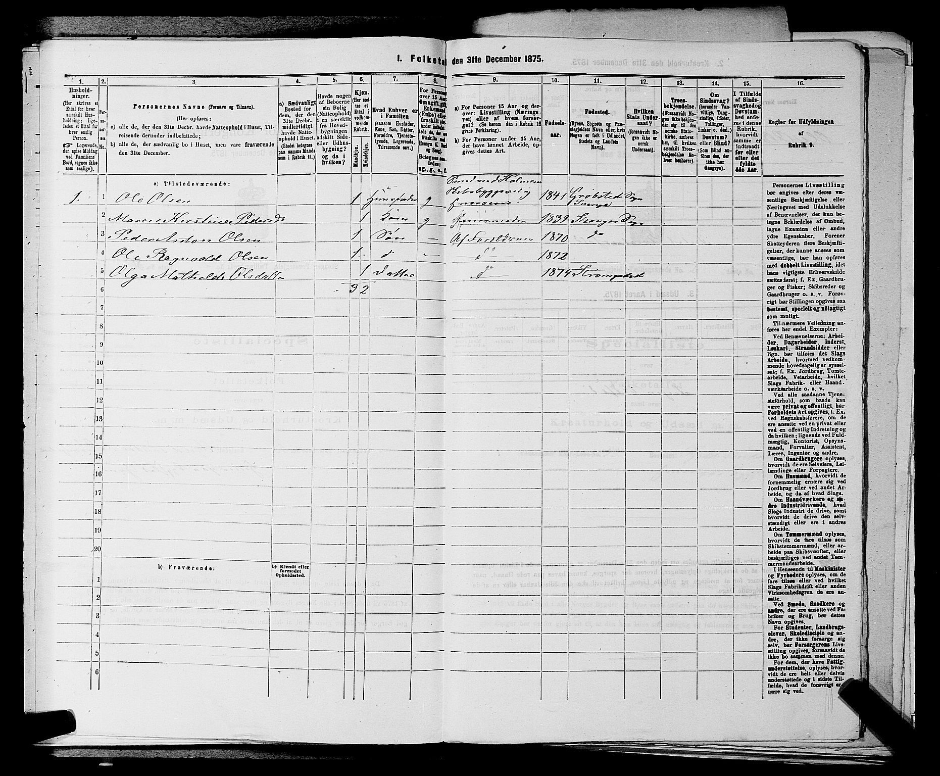 SAKO, 1875 census for 0712P Skoger, 1875, p. 316