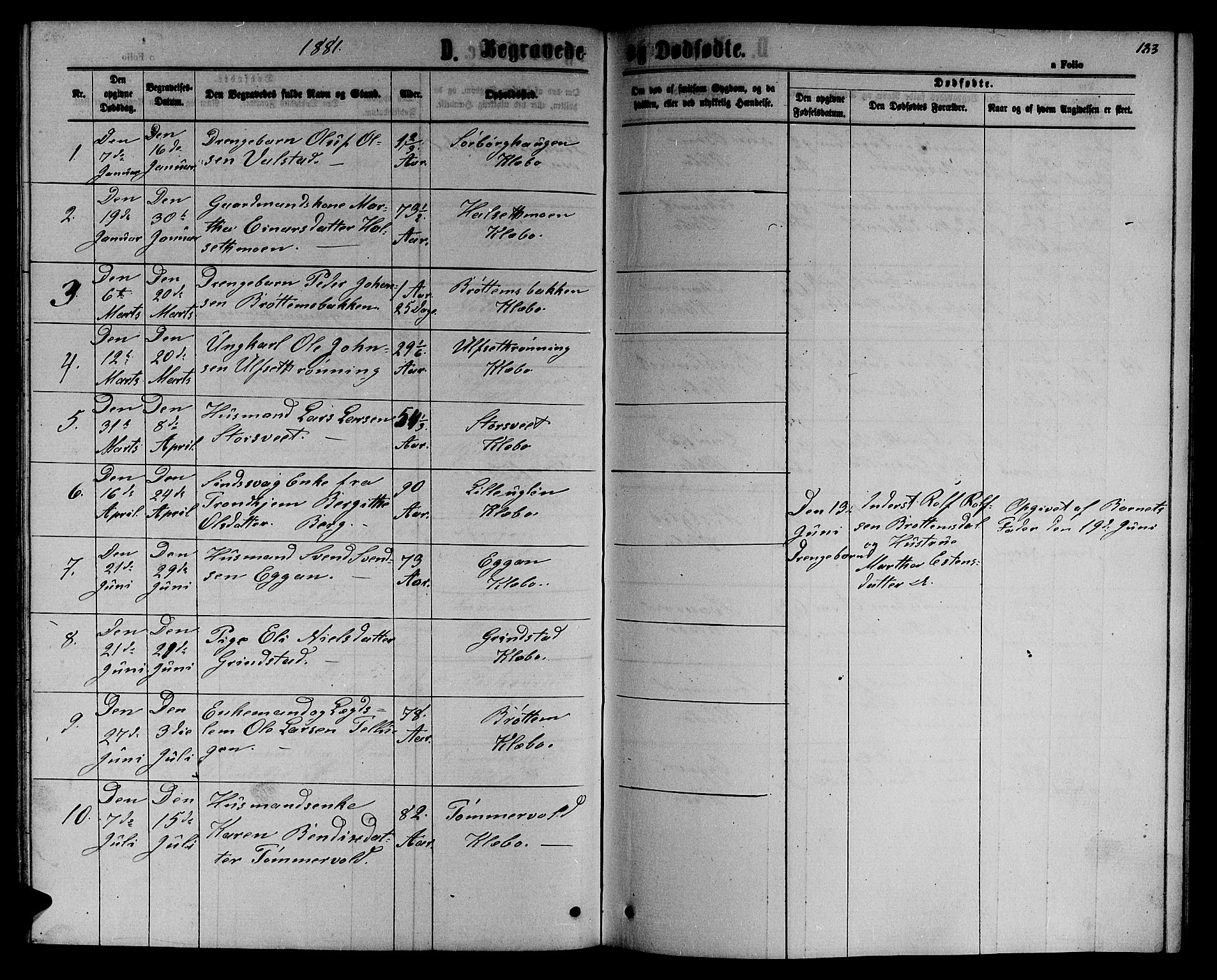 Ministerialprotokoller, klokkerbøker og fødselsregistre - Sør-Trøndelag, AV/SAT-A-1456/618/L0451: Parish register (copy) no. 618C02, 1865-1883, p. 183