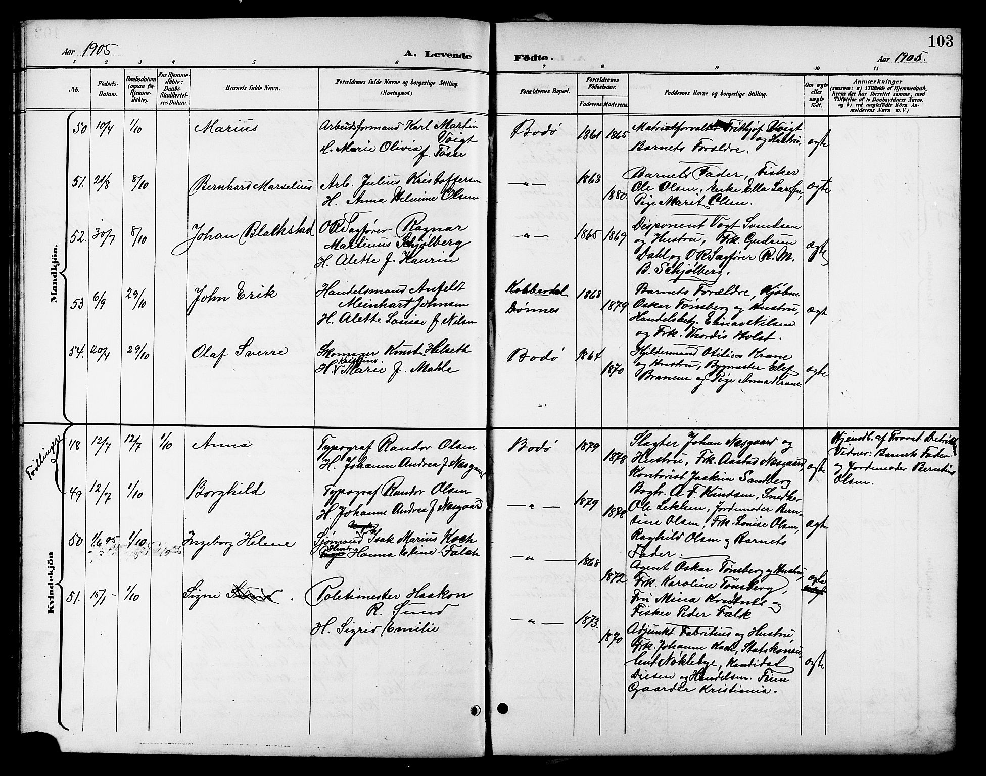 Ministerialprotokoller, klokkerbøker og fødselsregistre - Nordland, AV/SAT-A-1459/801/L0033: Parish register (copy) no. 801C08, 1898-1910, p. 103