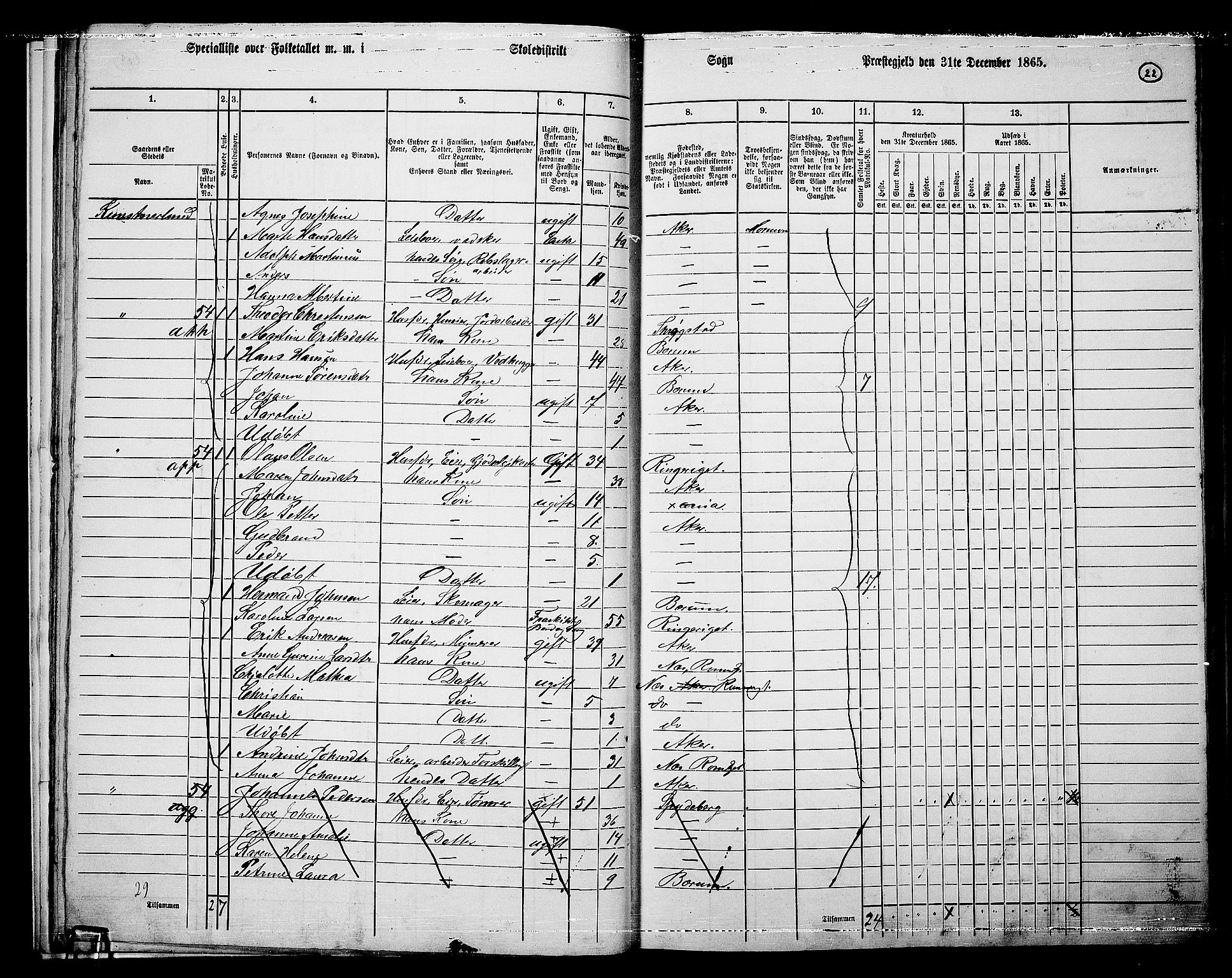 RA, 1865 census for Vestre Aker, 1865, p. 19