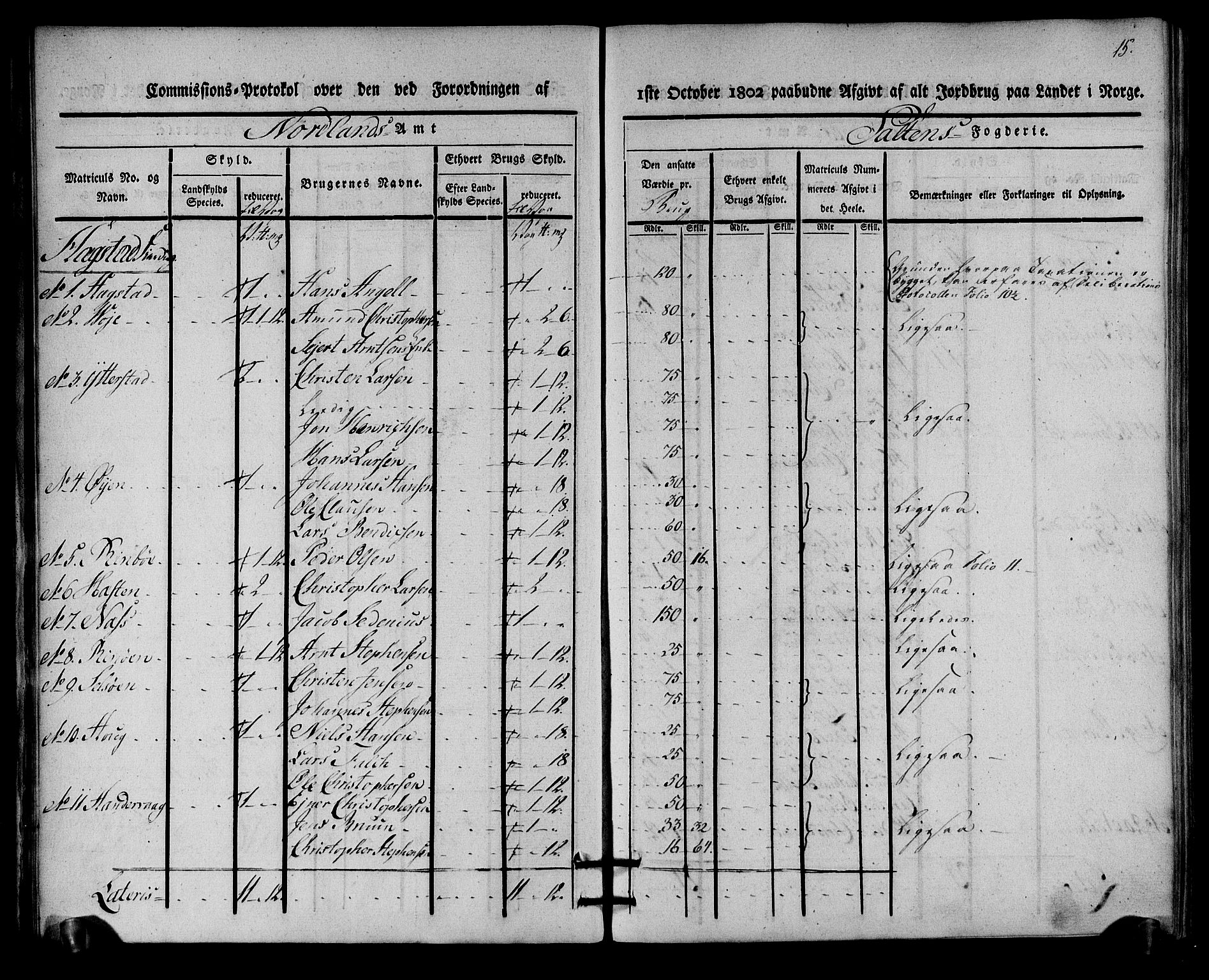 Rentekammeret inntil 1814, Realistisk ordnet avdeling, AV/RA-EA-4070/N/Ne/Nea/L0160: Salten fogderi. Kommisjonsprotokoll, 1803, p. 14