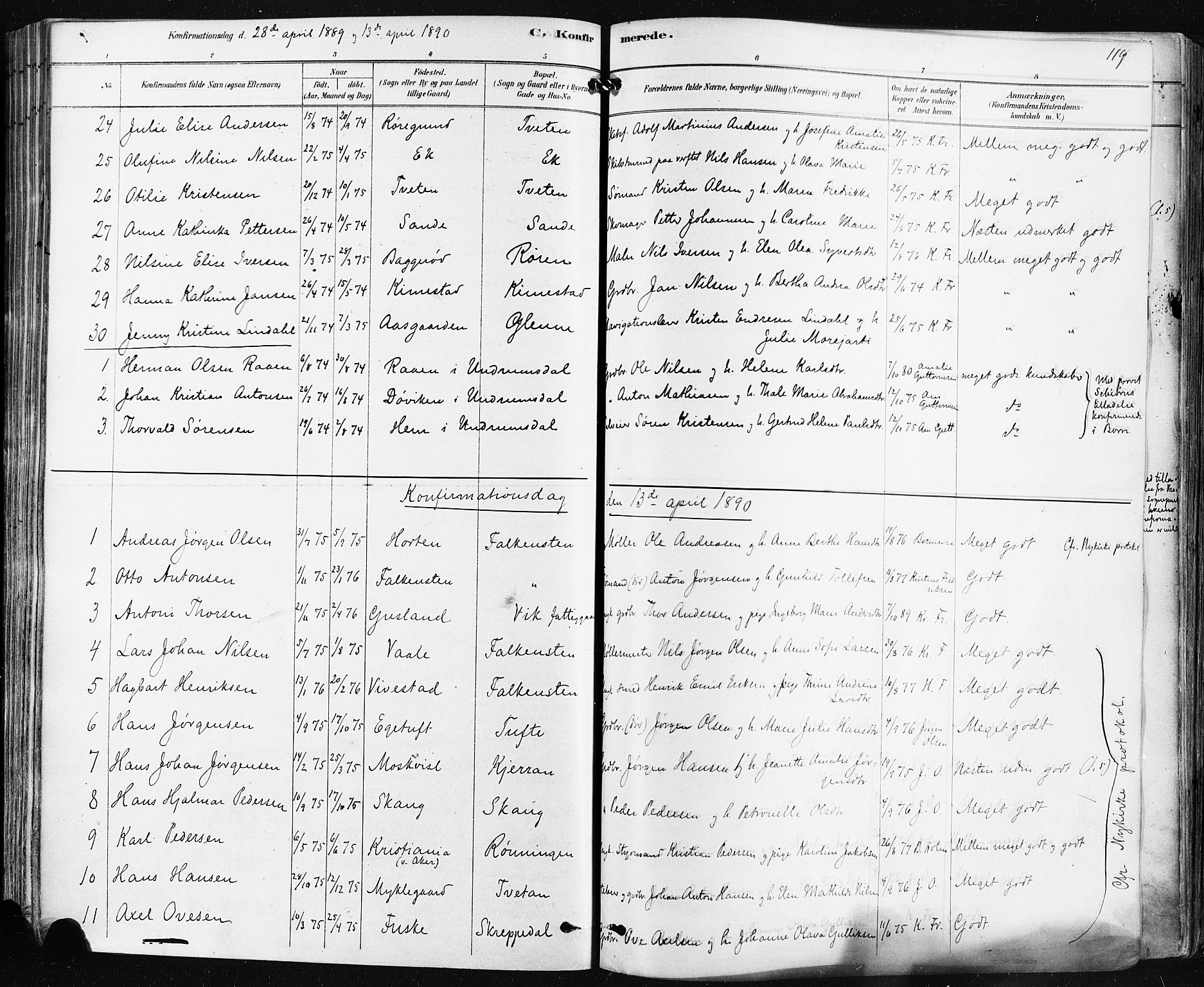 Borre kirkebøker, AV/SAKO-A-338/F/Fa/L0009: Parish register (official) no. I 9, 1878-1896, p. 119