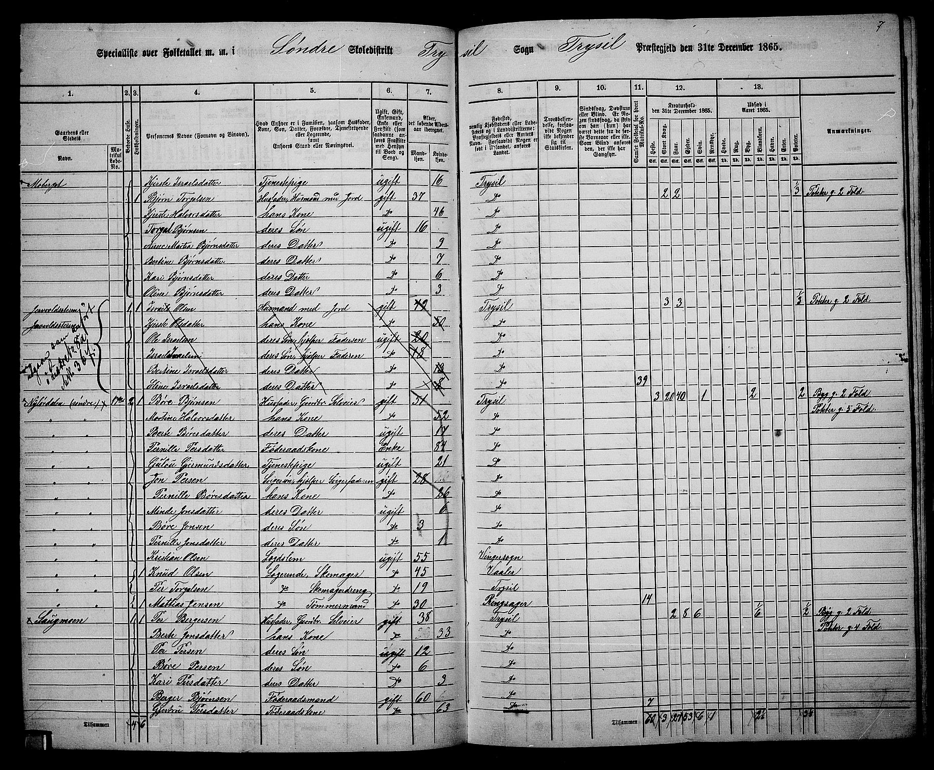 RA, 1865 census for Trysil, 1865, p. 98