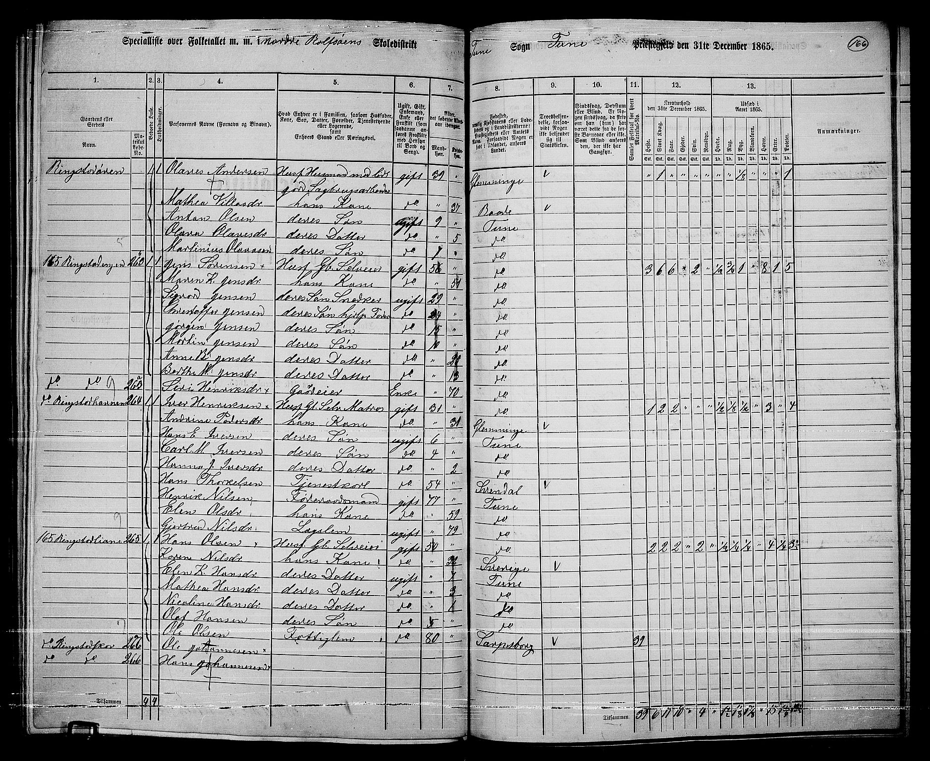 RA, 1865 census for Tune, 1865, p. 245