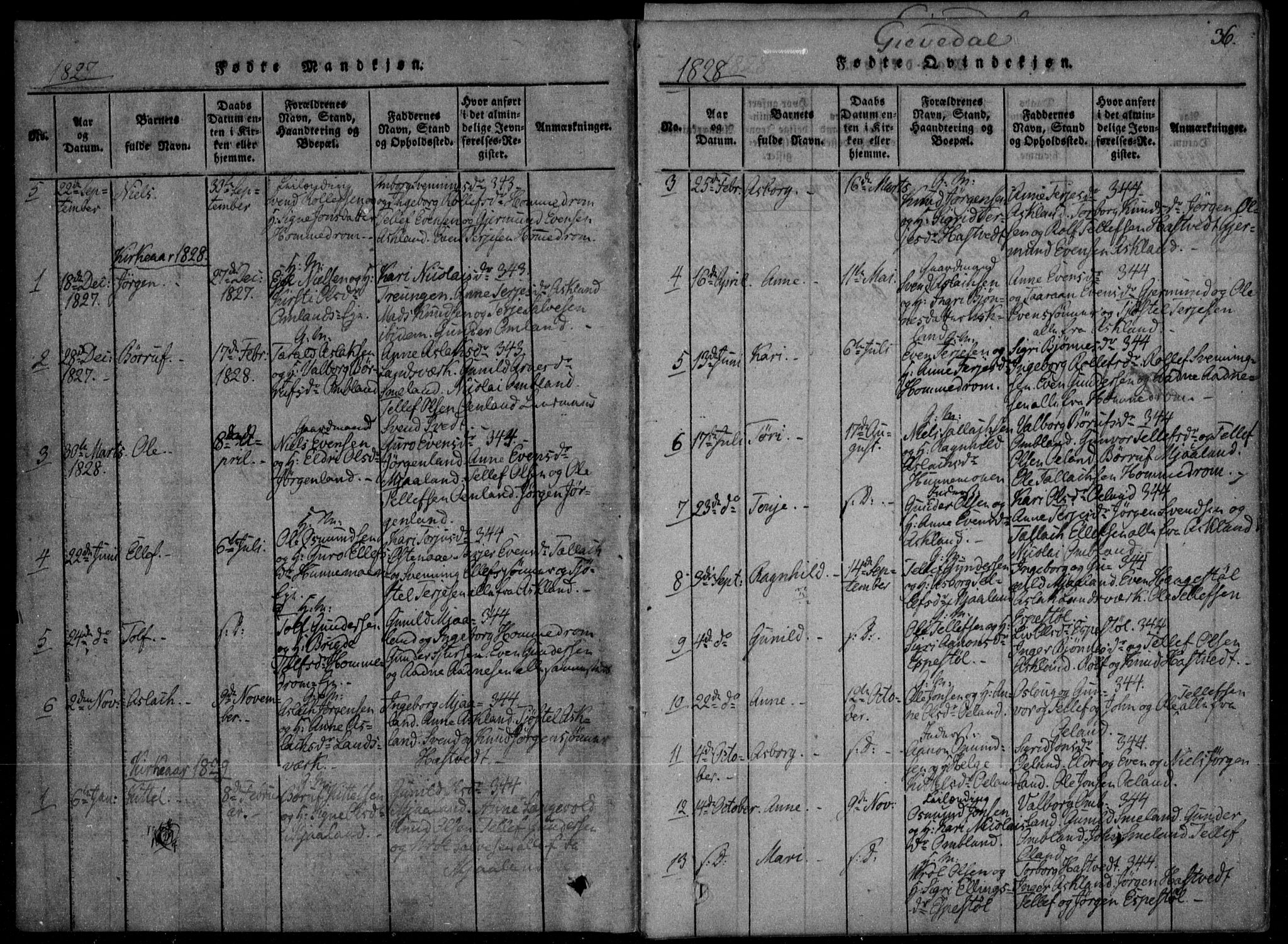 Åmli sokneprestkontor, AV/SAK-1111-0050/F/Fa/Fac/L0006: Parish register (official) no. A 6, 1816-1829, p. 36