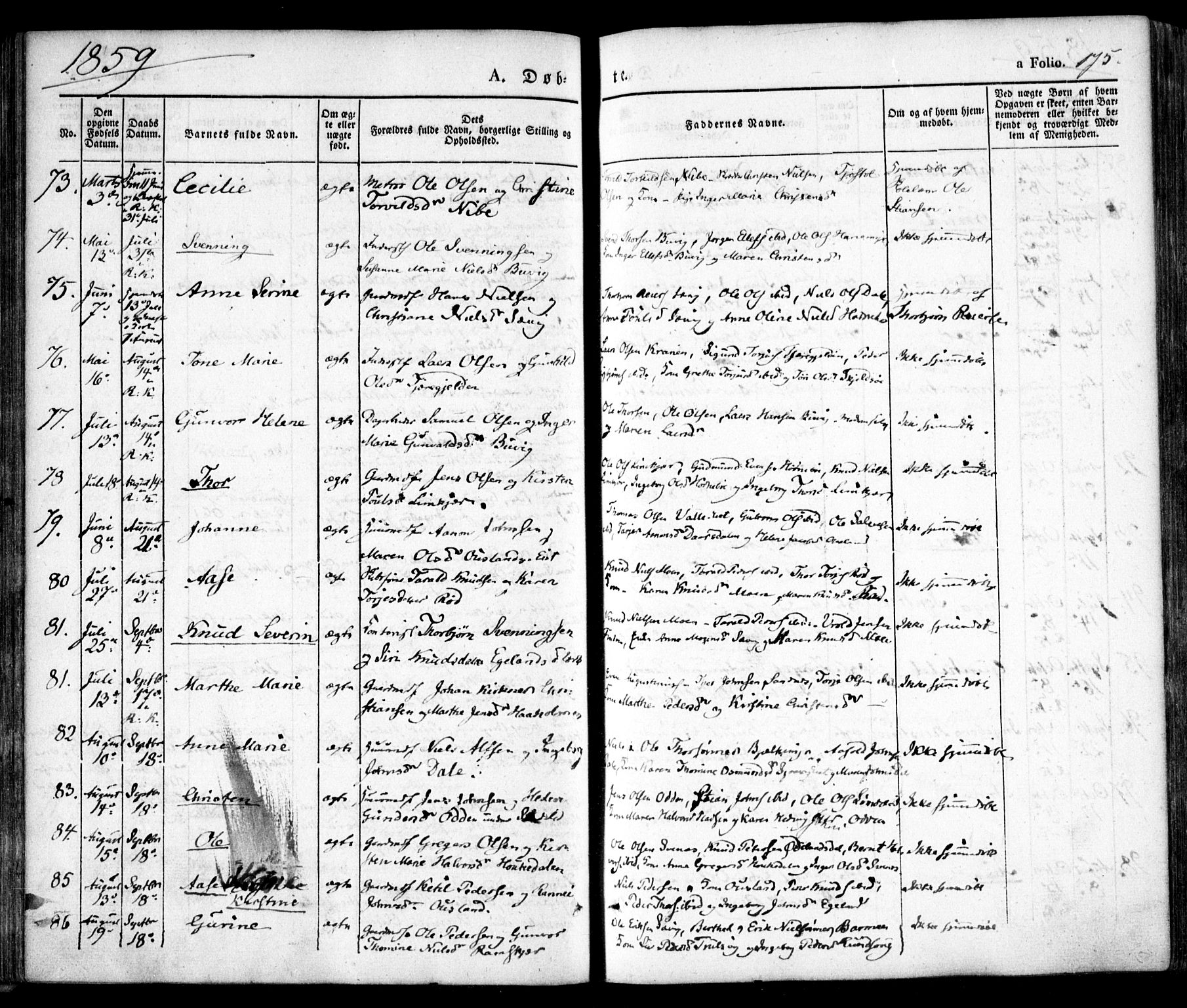 Søndeled sokneprestkontor, AV/SAK-1111-0038/F/Fa/L0002: Parish register (official) no. A 2, 1839-1860, p. 175