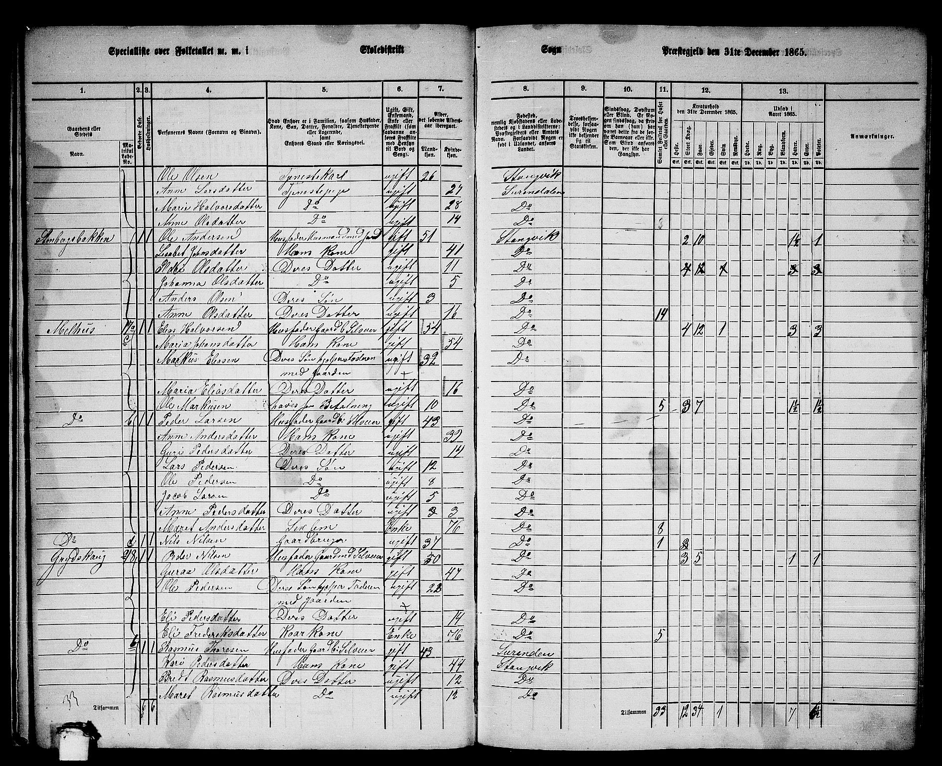 RA, 1865 census for Stangvik, 1865, p. 19