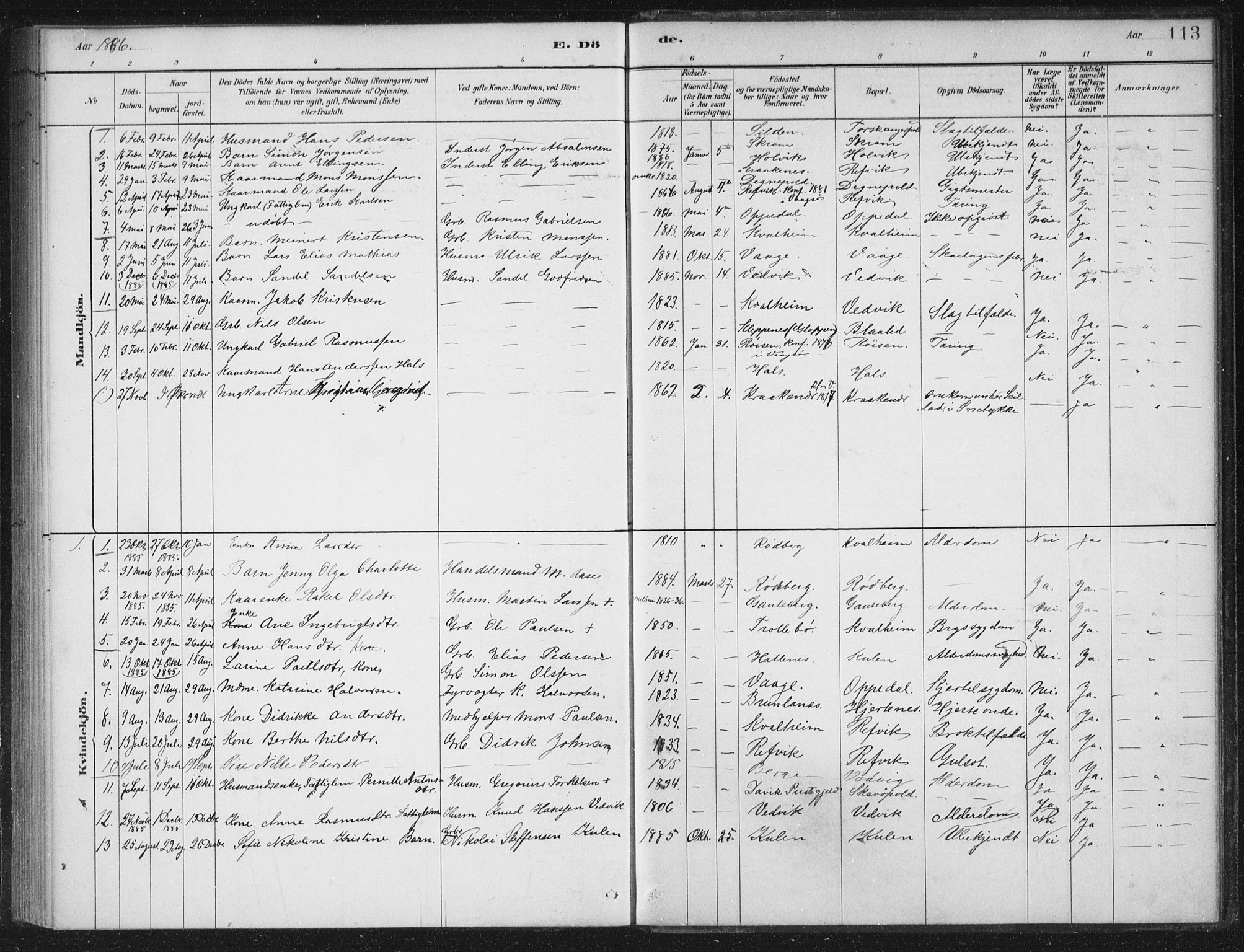 Selje sokneprestembete, SAB/A-99938/H/Ha/Haa/Haac/L0001: Parish register (official) no. C  1, 1881-1888, p. 113