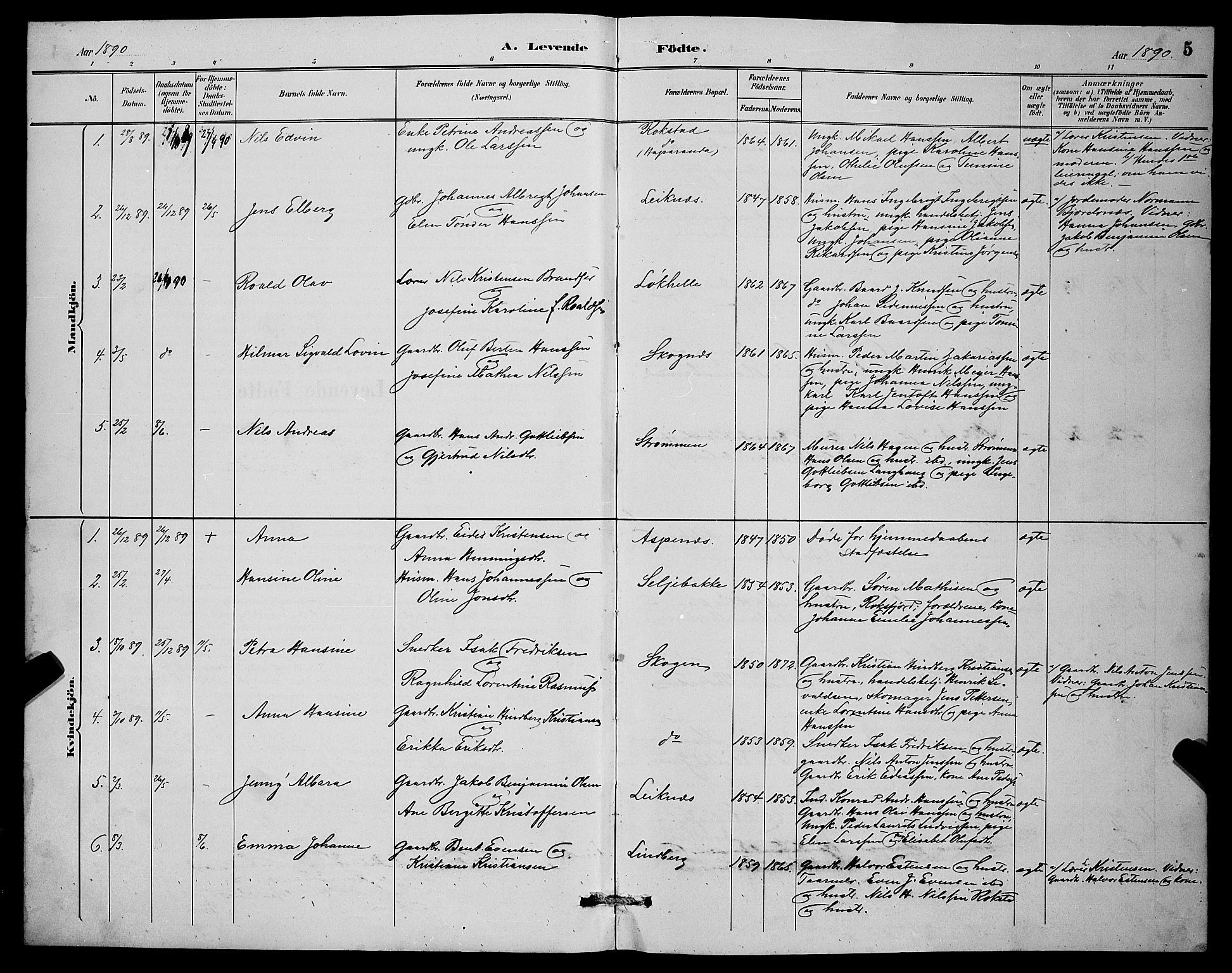 Lenvik sokneprestembete, SATØ/S-1310/H/Ha/Hab/L0007klokker: Parish register (copy) no. 7, 1890-1898, p. 5