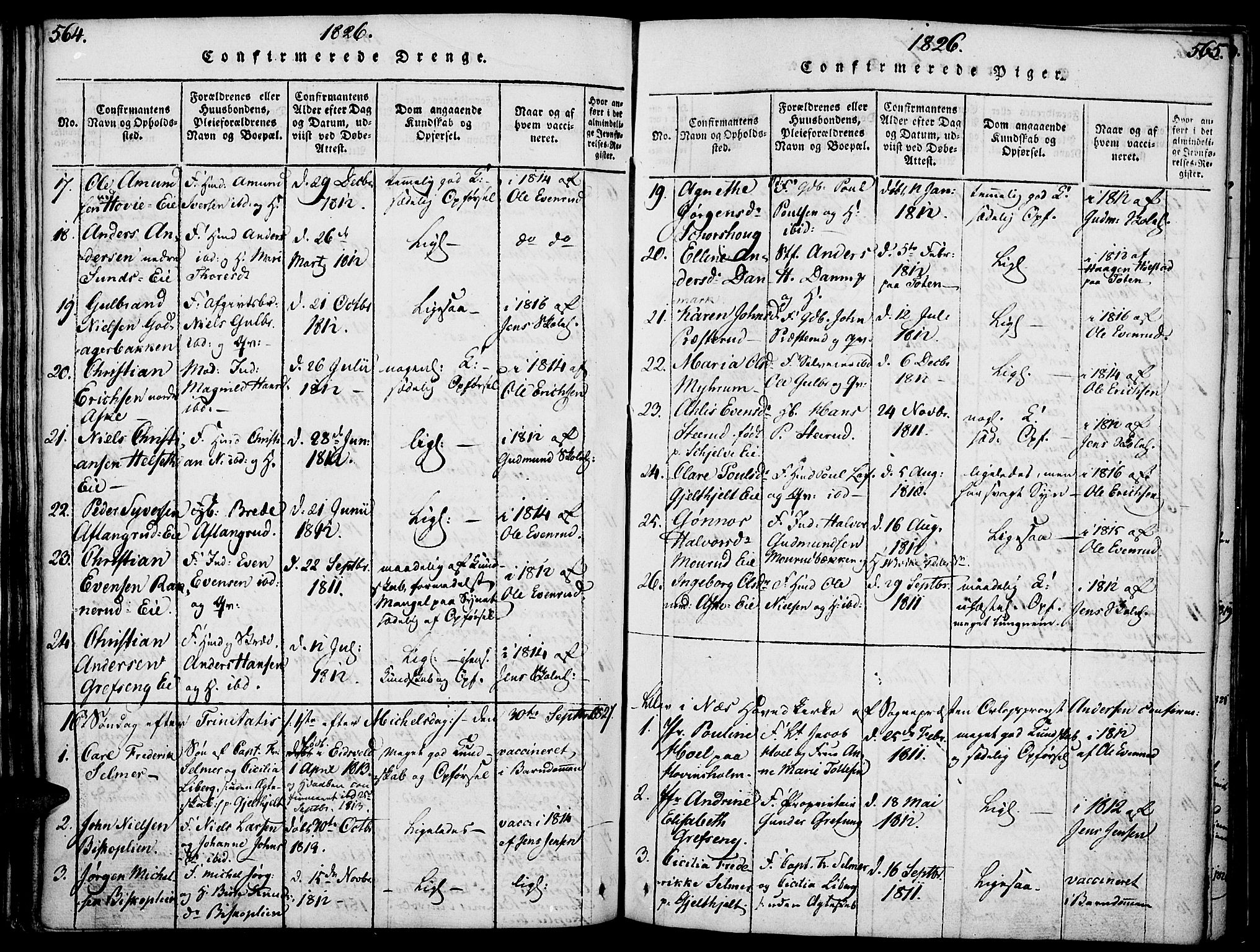 Nes prestekontor, Hedmark, SAH/PREST-020/K/Ka/L0002: Parish register (official) no. 2, 1813-1827, p. 564-565