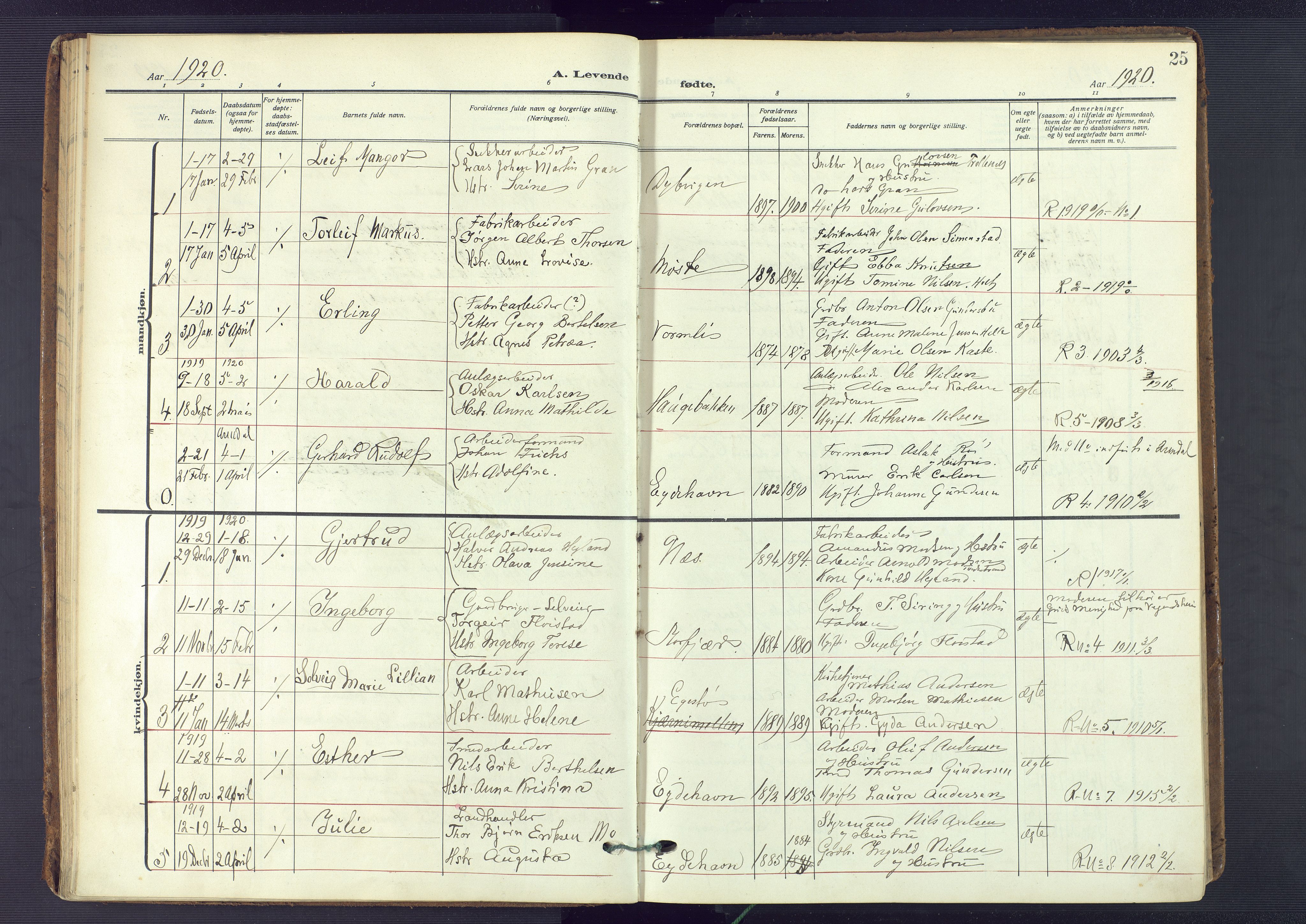 Austre Moland sokneprestkontor, SAK/1111-0001/F/Fa/Fab/L0003: Parish register (official) no. A 3, 1914-1927, p. 25