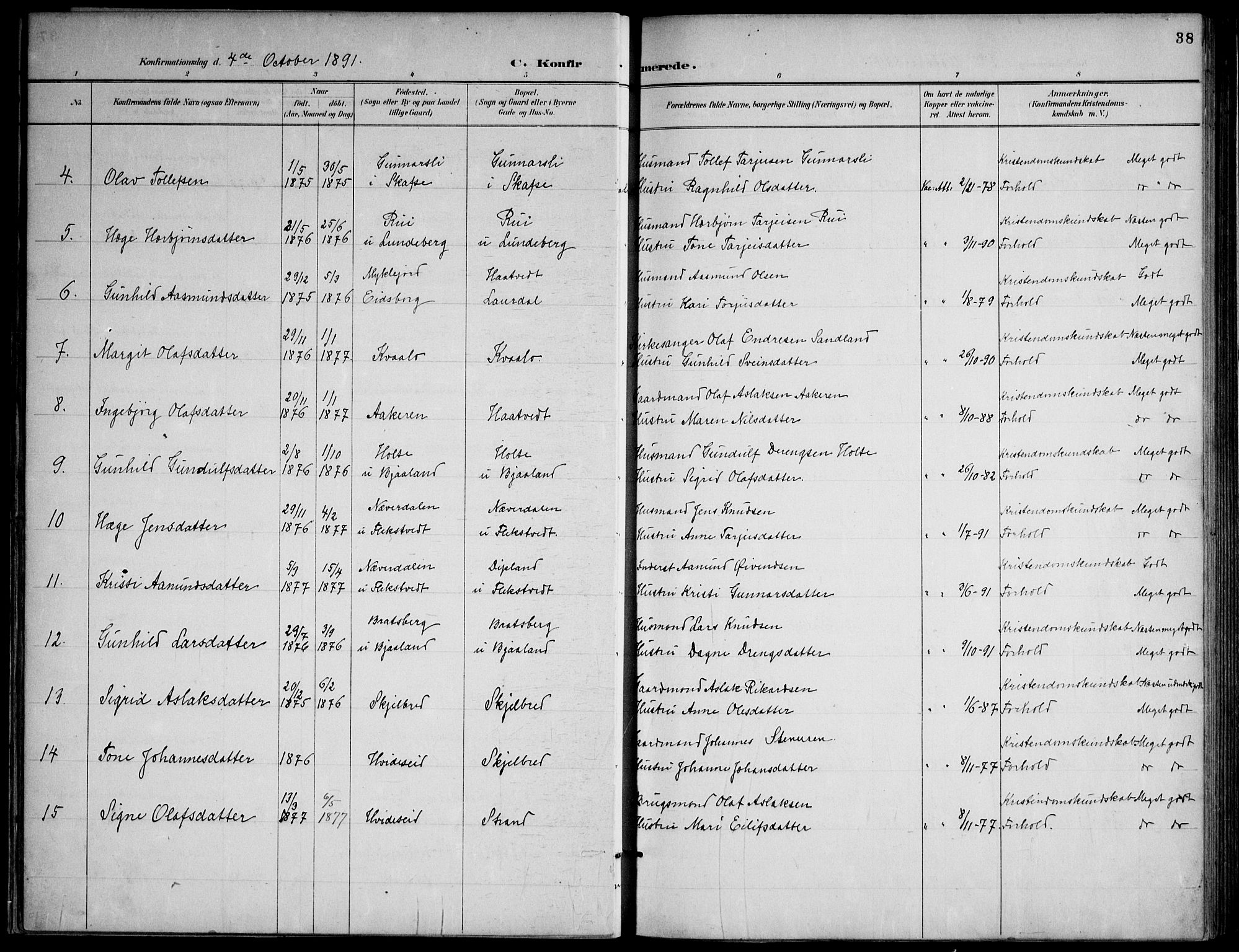 Lårdal kirkebøker, SAKO/A-284/F/Fa/L0007: Parish register (official) no. I 7, 1887-1906, p. 38