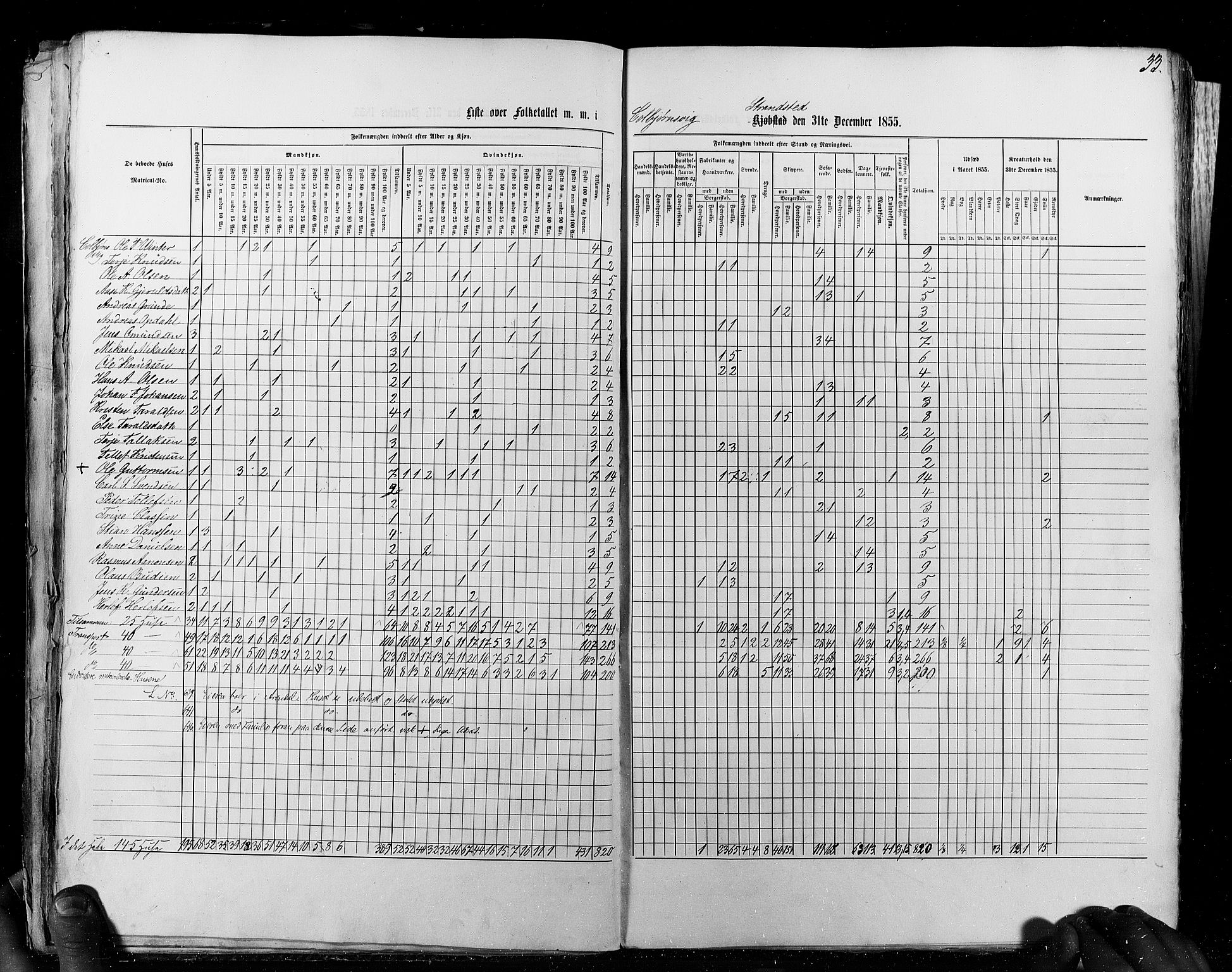 RA, Census 1855, vol. 8: Risør-Vadsø, 1855, p. 33