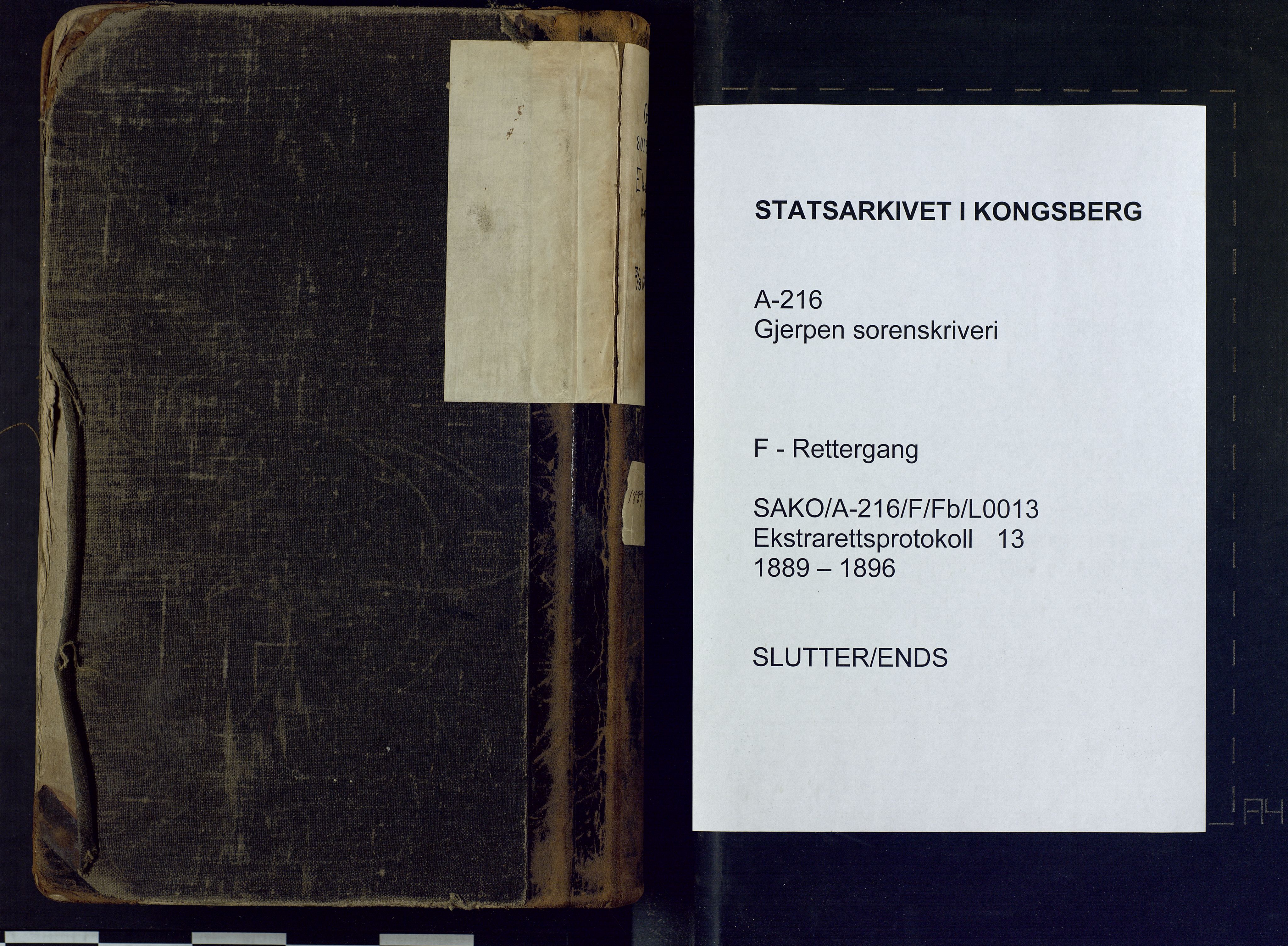 Gjerpen sorenskriveri, SAKO/A-216/F/Fb/L0013: Ekstrarettsprotokoll, 1889-1896