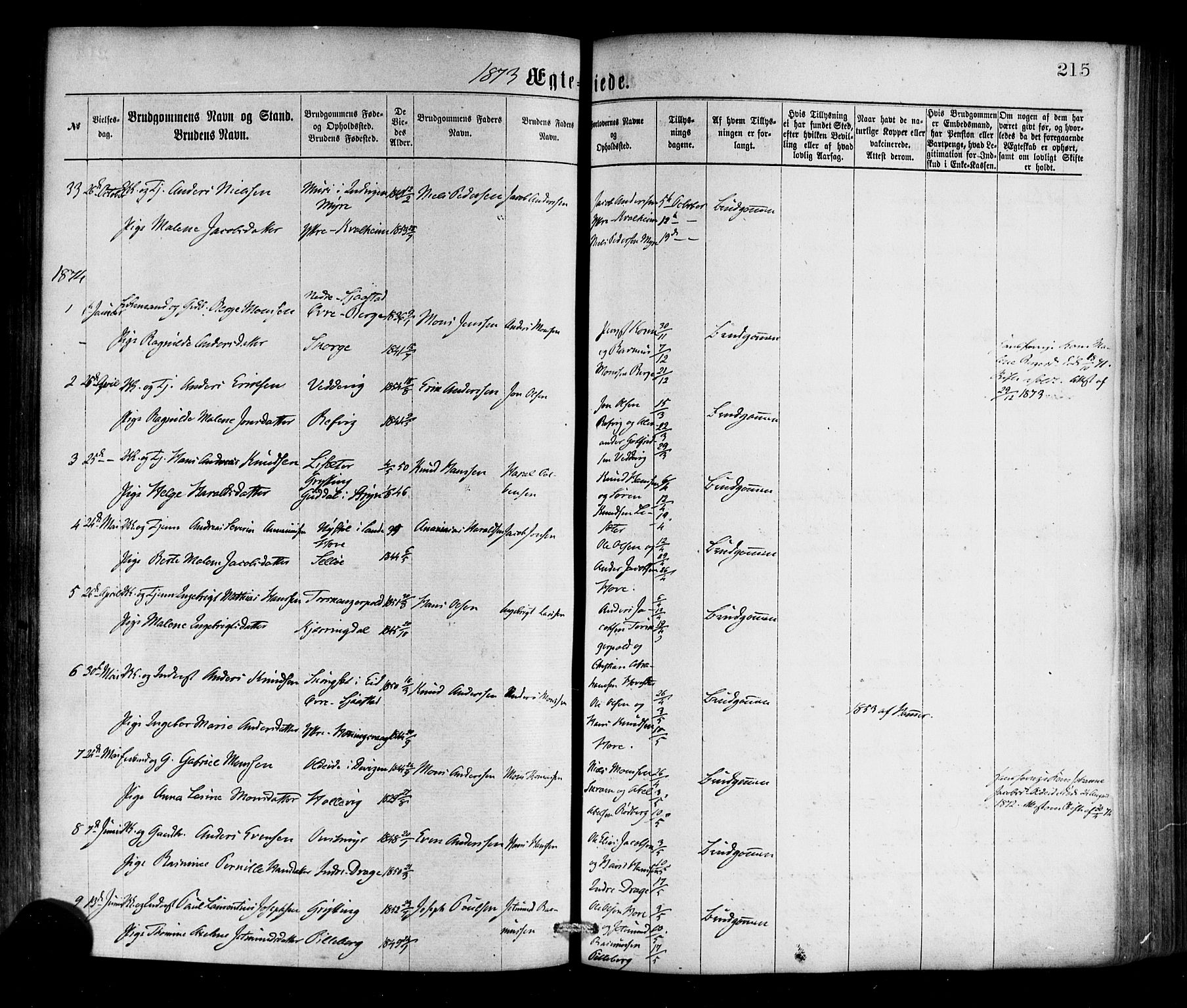 Selje sokneprestembete, SAB/A-99938/H/Ha/Haa/Haaa: Parish register (official) no. A 12, 1870-1880, p. 215