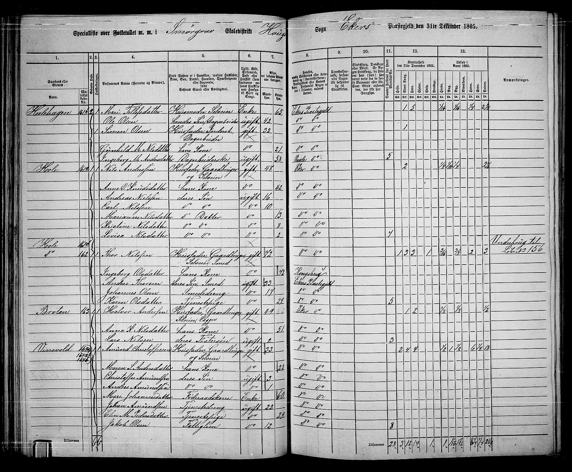 RA, 1865 census for Eiker, 1865, p. 51