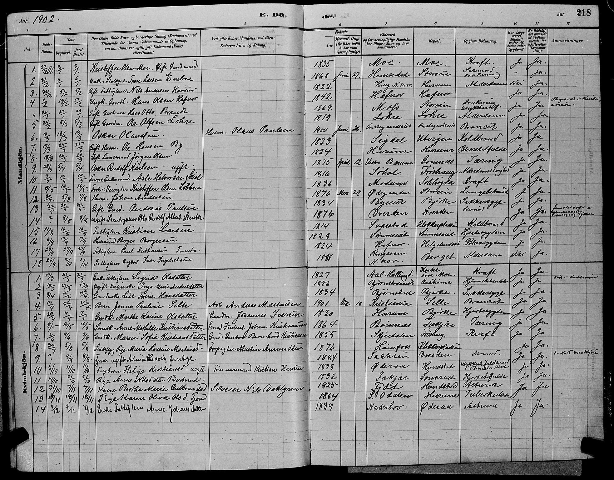Hole kirkebøker, SAKO/A-228/G/Ga/L0003: Parish register (copy) no. I 3, 1879-1904, p. 218