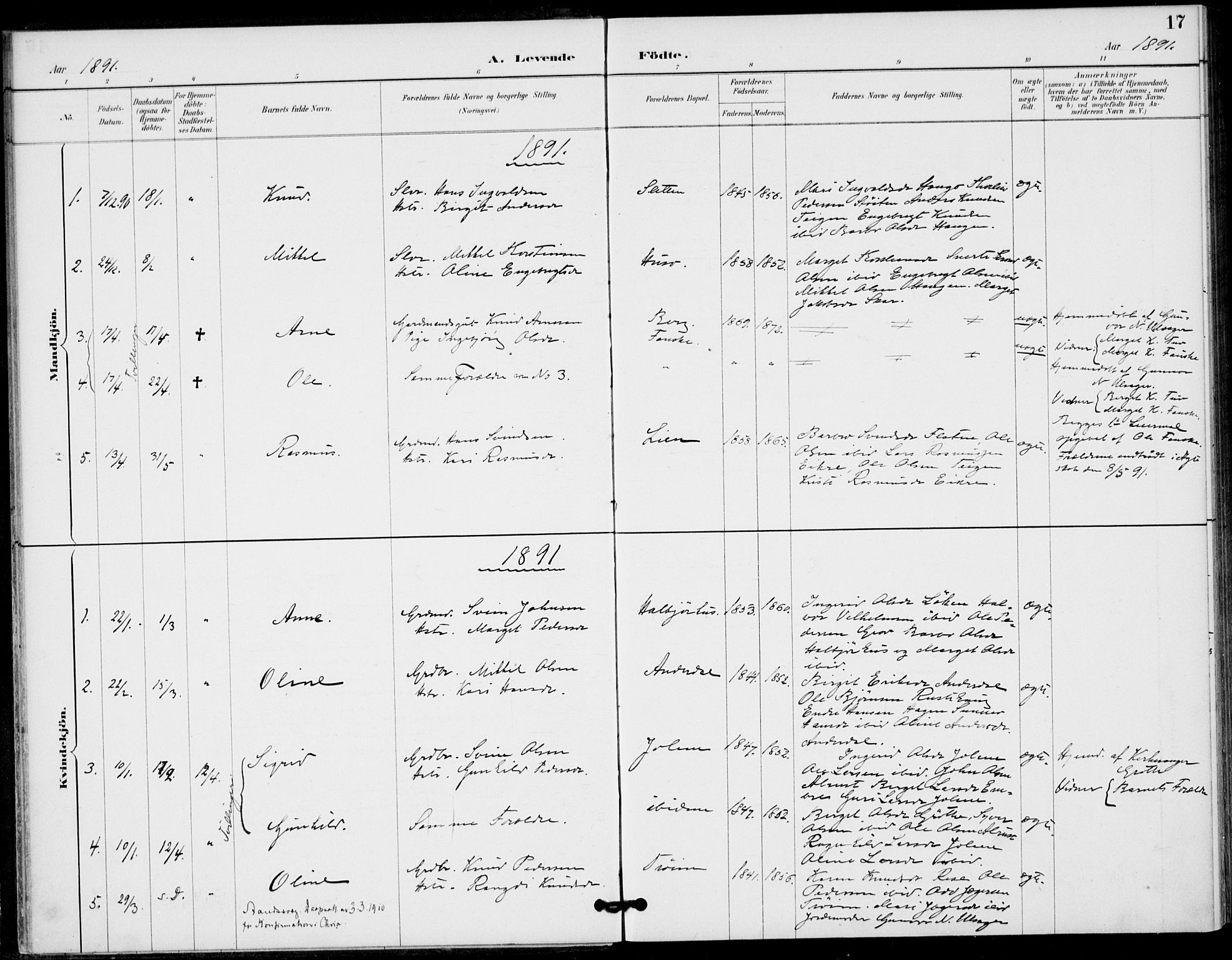 Gol kirkebøker, AV/SAKO-A-226/F/Fb/L0001: Parish register (official) no. II 1, 1887-1900, p. 17