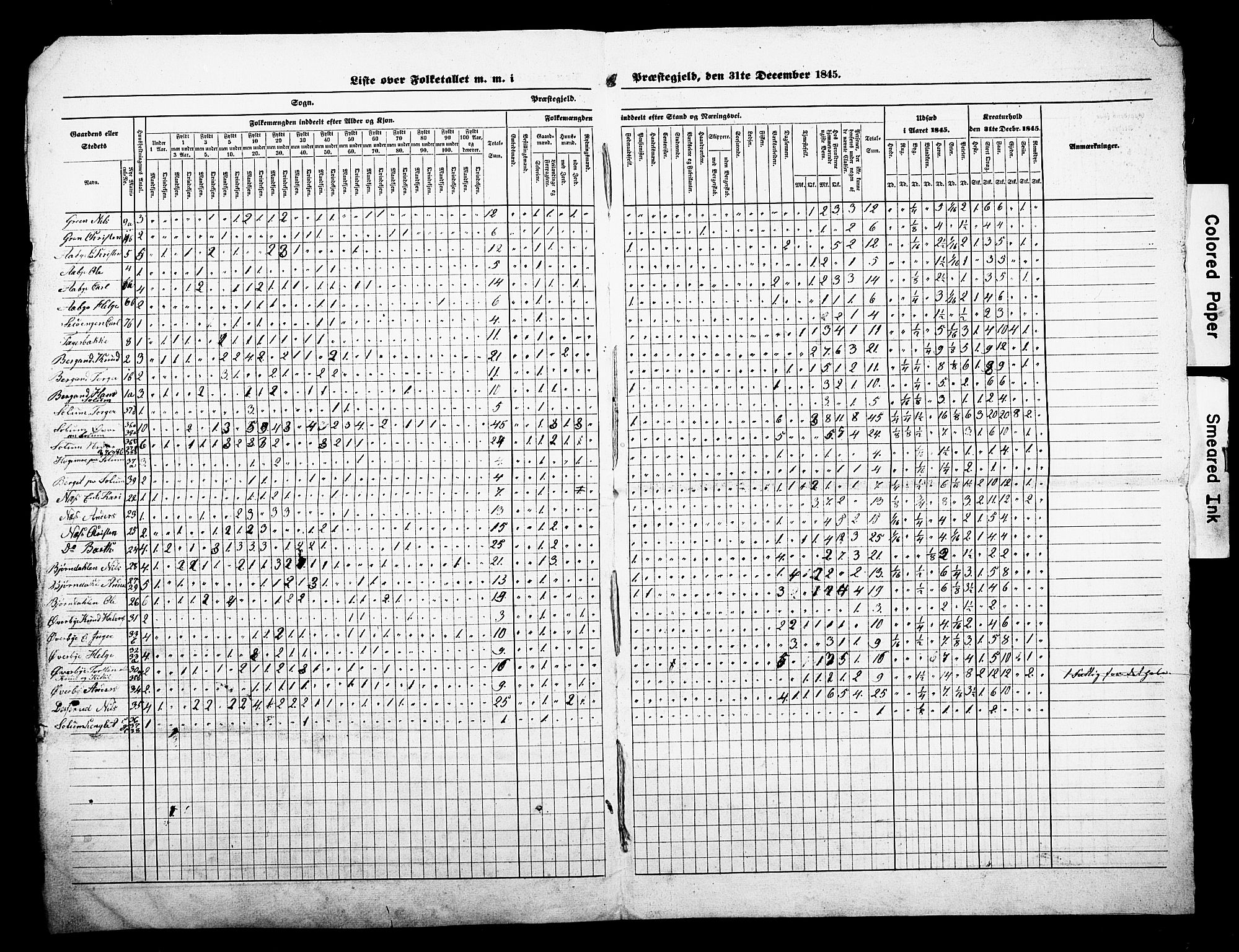 , Census 1845 for Sigdal, 1845, p. 3