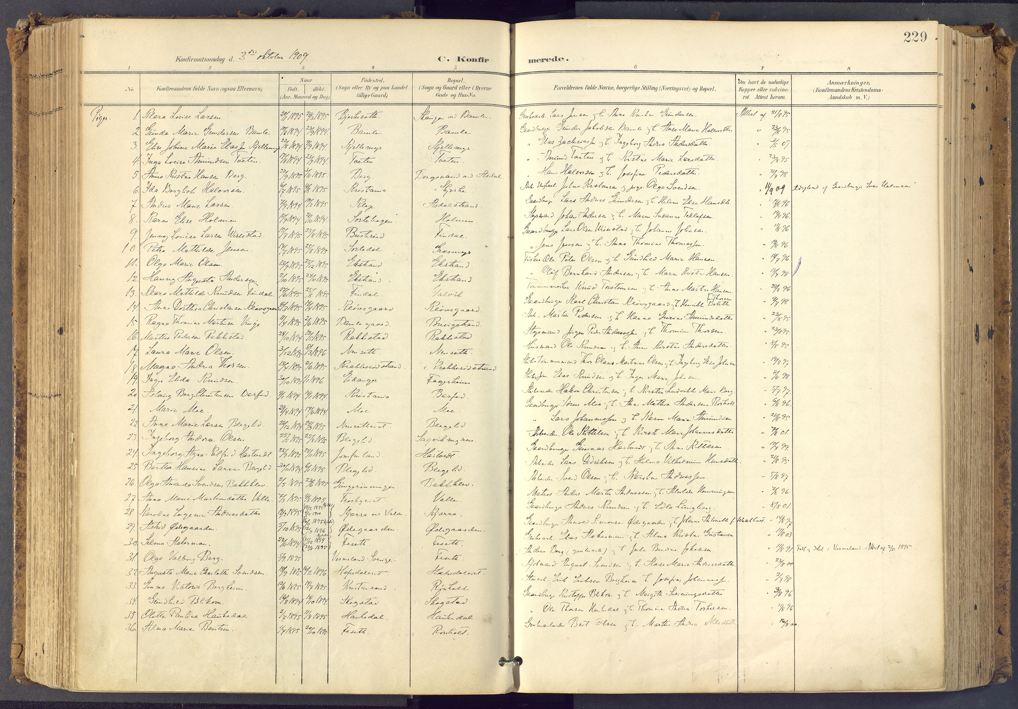 Bamble kirkebøker, SAKO/A-253/F/Fa/L0009: Parish register (official) no. I 9, 1901-1917, p. 229