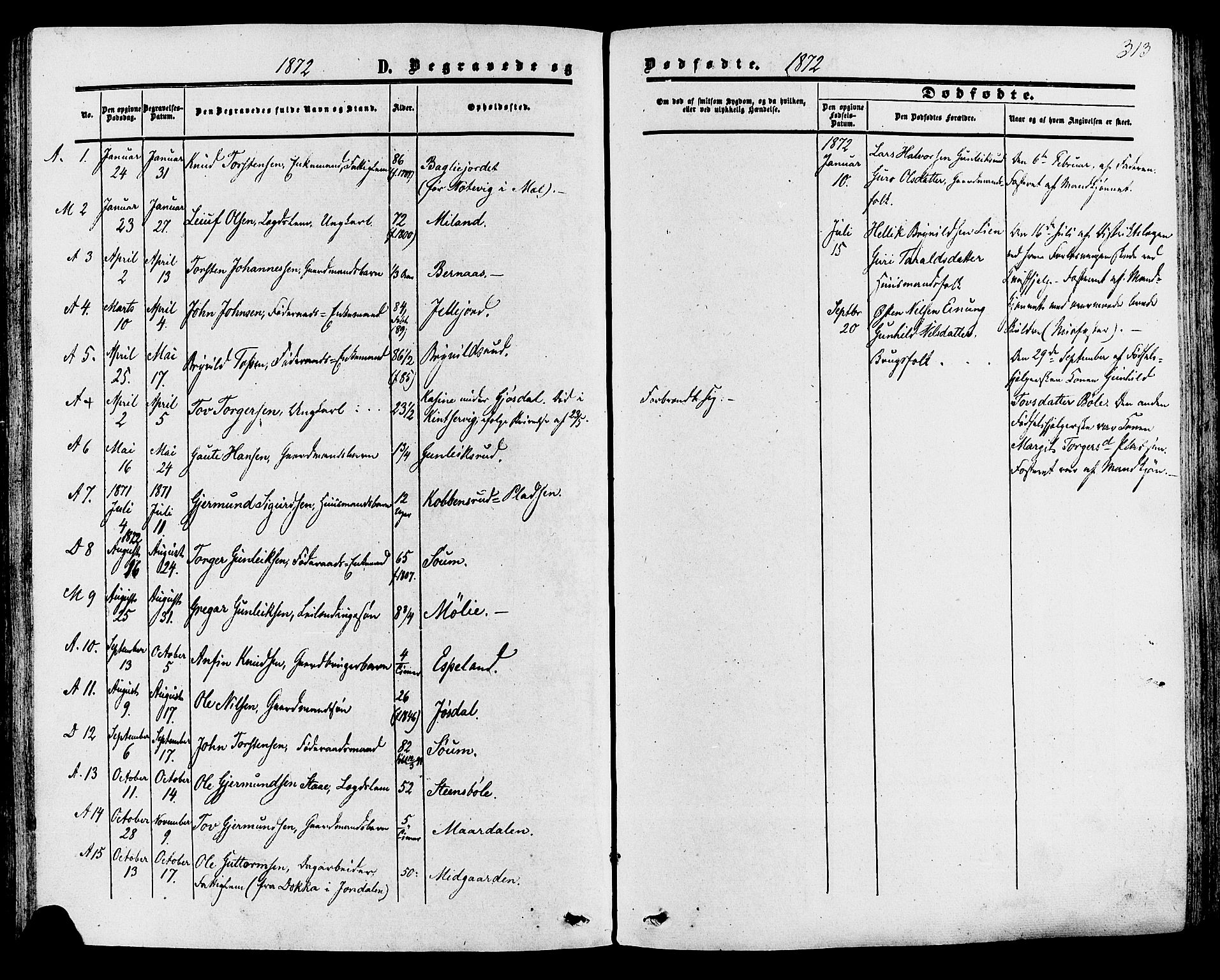Tinn kirkebøker, SAKO/A-308/F/Fa/L0006: Parish register (official) no. I 6, 1857-1878, p. 313