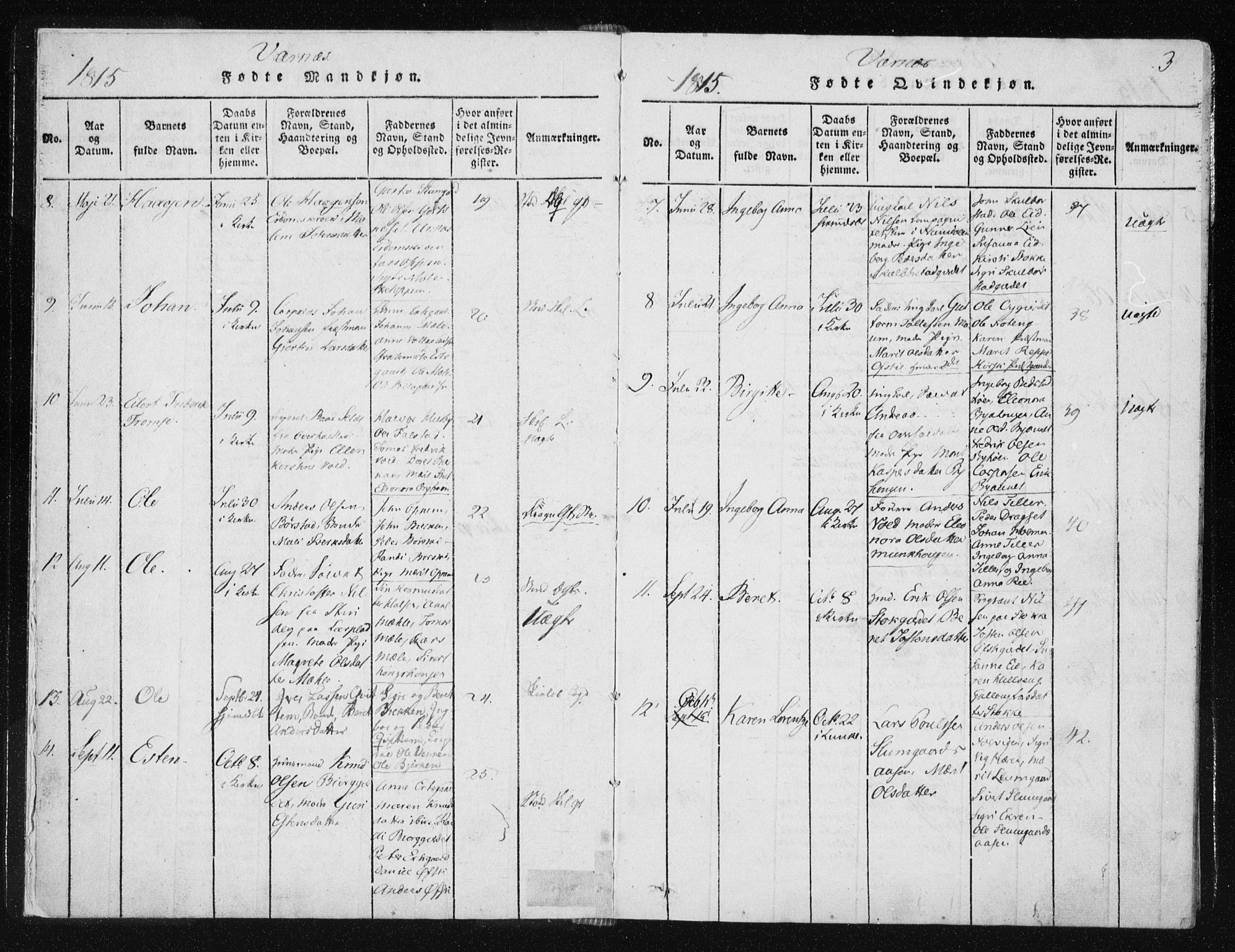 Ministerialprotokoller, klokkerbøker og fødselsregistre - Nord-Trøndelag, AV/SAT-A-1458/709/L0061: Parish register (official) no. 709A08 /1, 1815-1819, p. 3