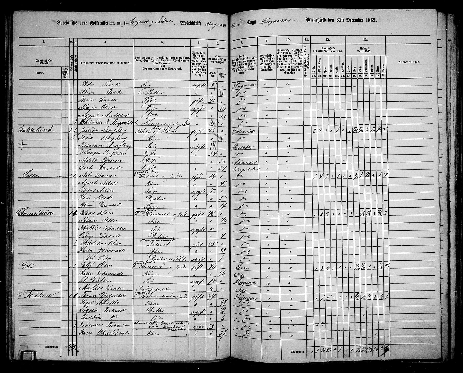 RA, 1865 census for Ringsaker, 1865, p. 136