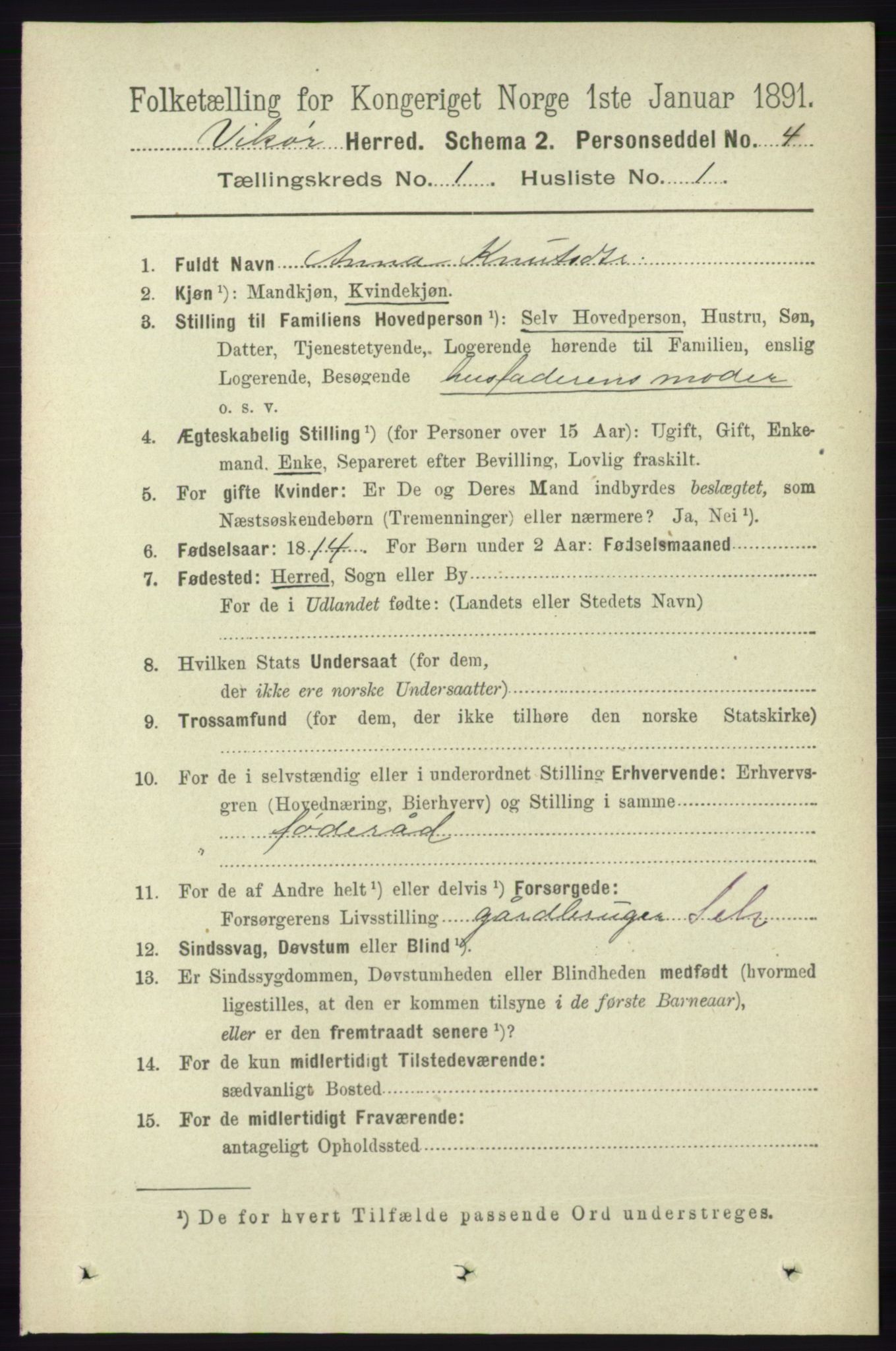 RA, 1891 census for 1238 Vikør, 1891, p. 96