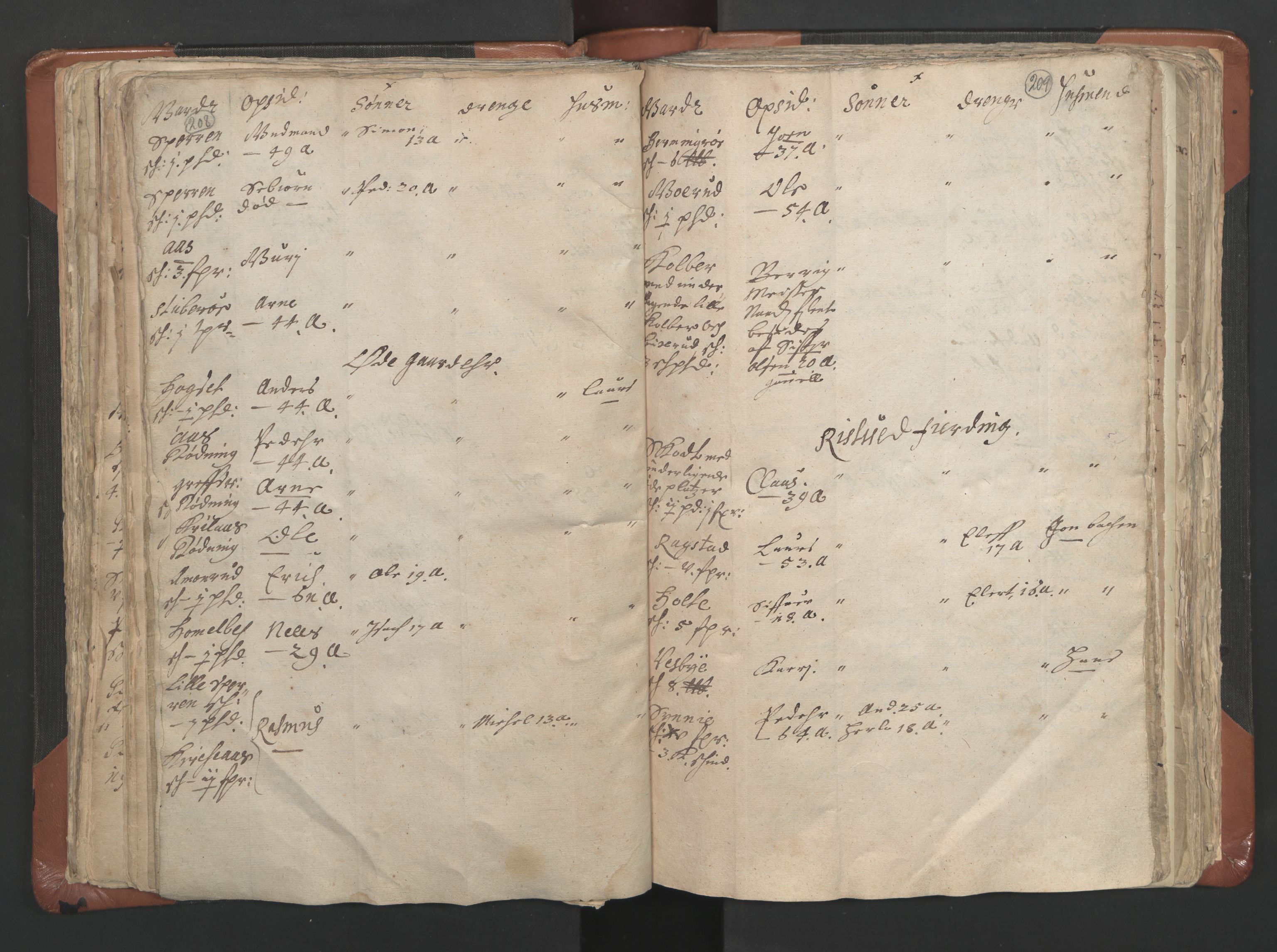 RA, Vicar's Census 1664-1666, no. 9: Bragernes deanery, 1664-1666, p. 208-209