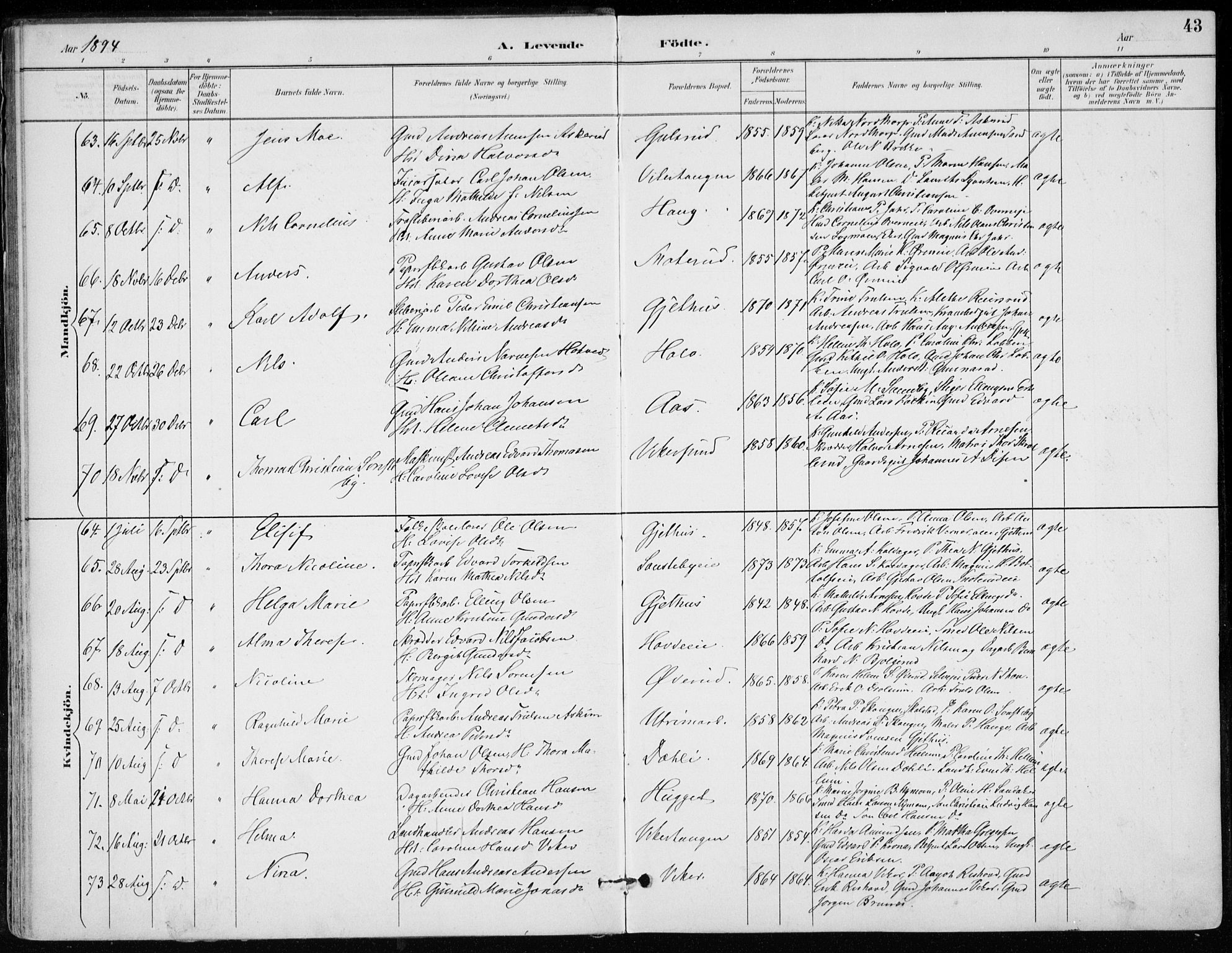 Modum kirkebøker, AV/SAKO-A-234/F/Fa/L0012: Parish register (official) no. 12, 1890-1898, p. 43