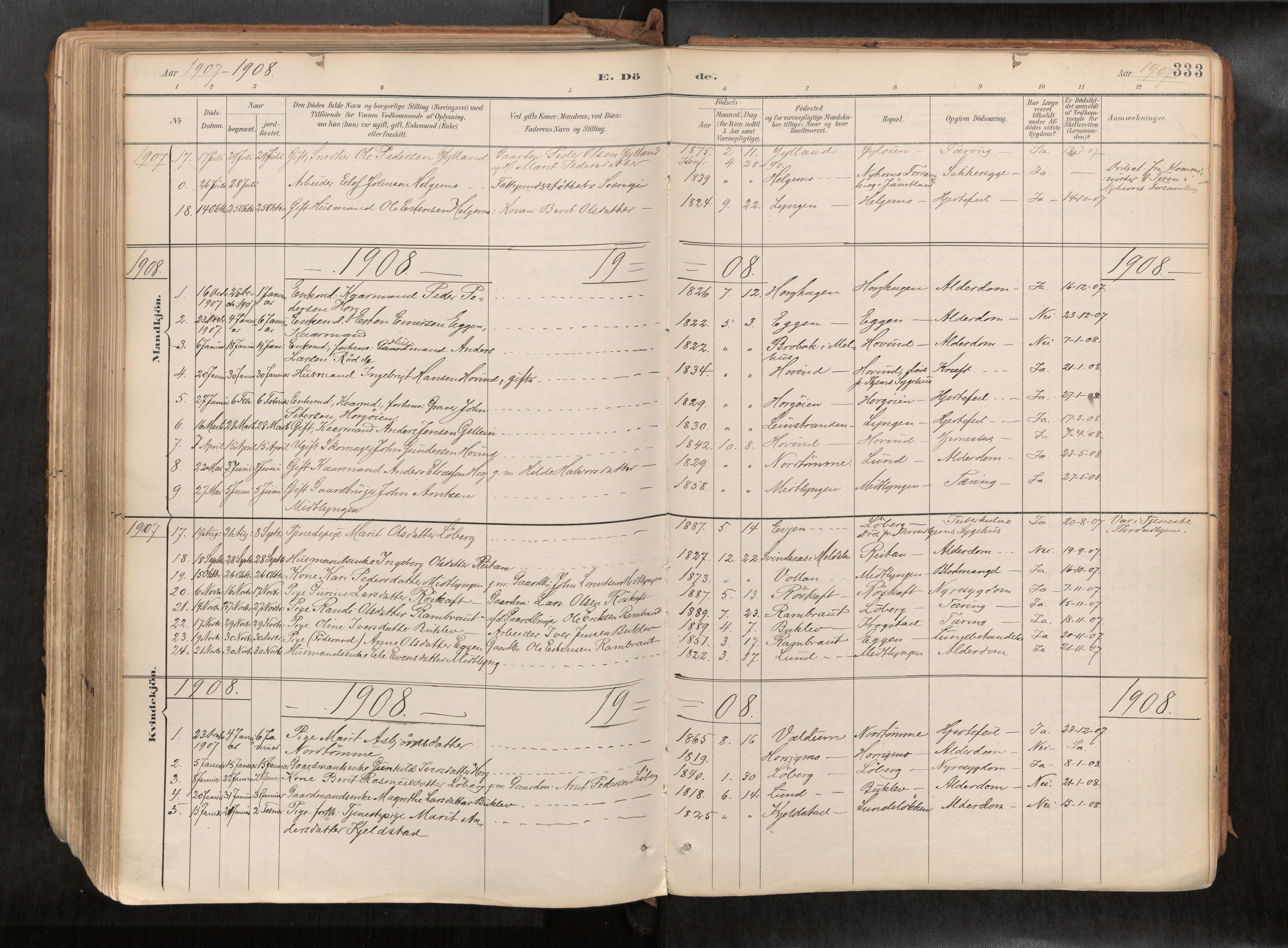 Ministerialprotokoller, klokkerbøker og fødselsregistre - Sør-Trøndelag, SAT/A-1456/692/L1105b: Parish register (official) no. 692A06, 1891-1934, p. 333