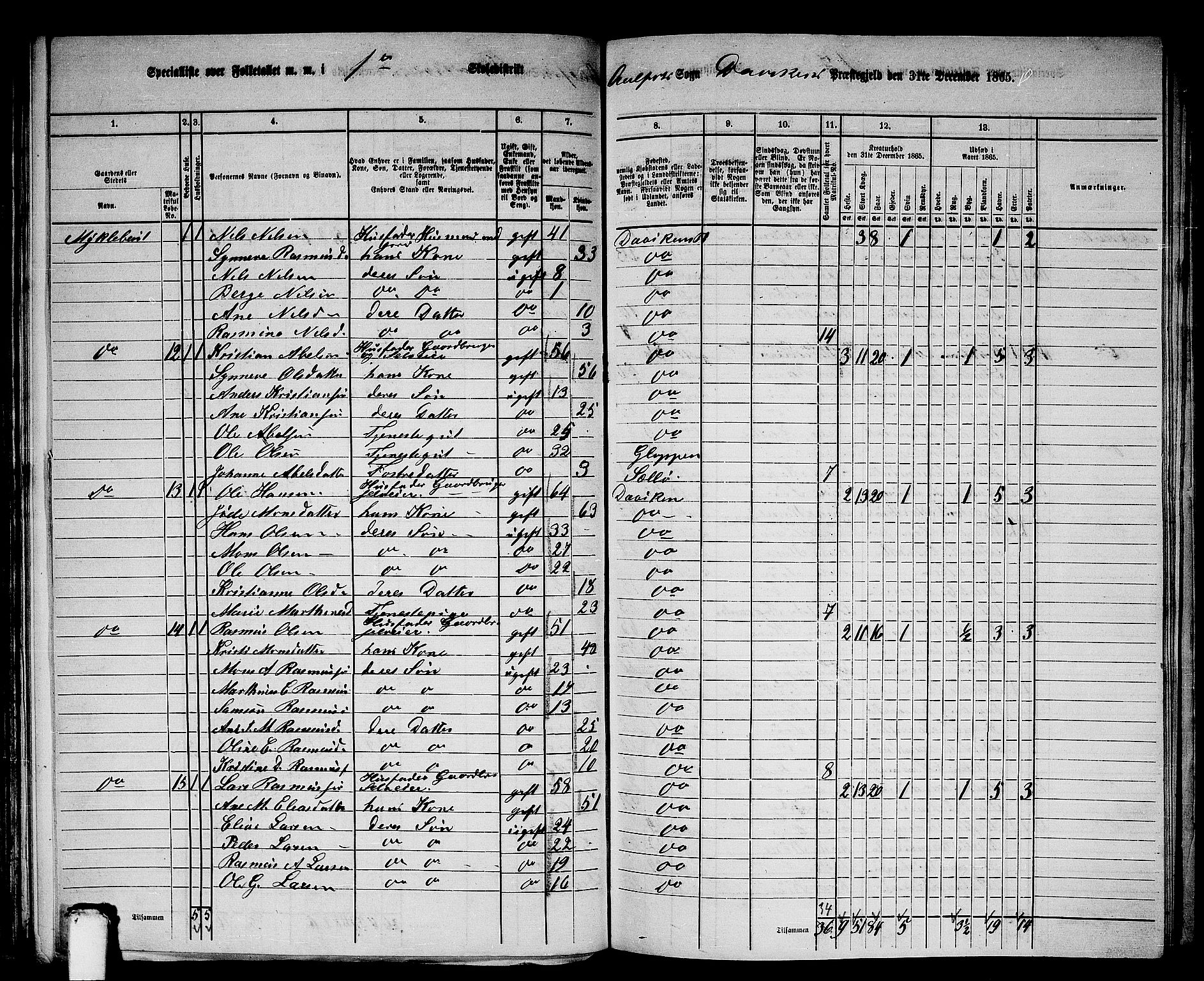 RA, 1865 census for Davik, 1865, p. 13