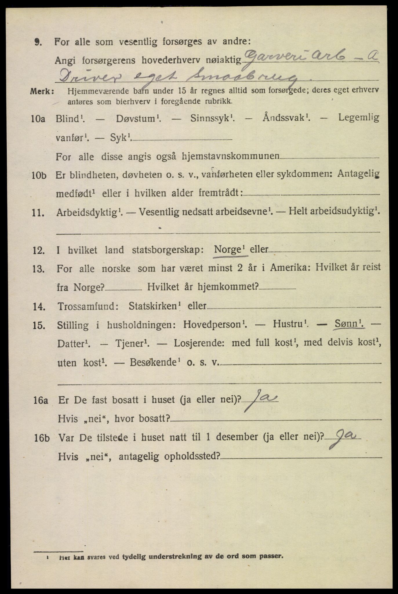 SAK, 1920 census for Nes (V-A), 1920, p. 4227