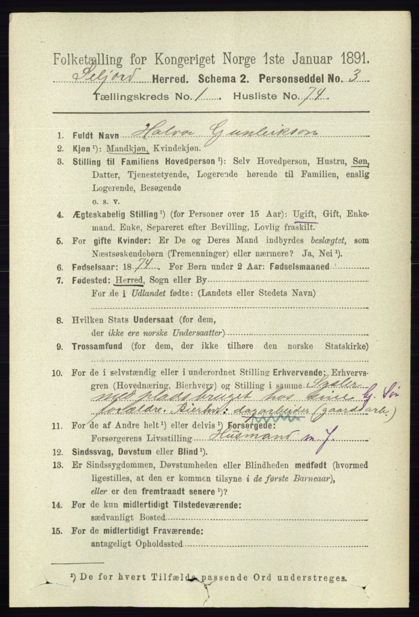 RA, 1891 census for 0828 Seljord, 1891, p. 492